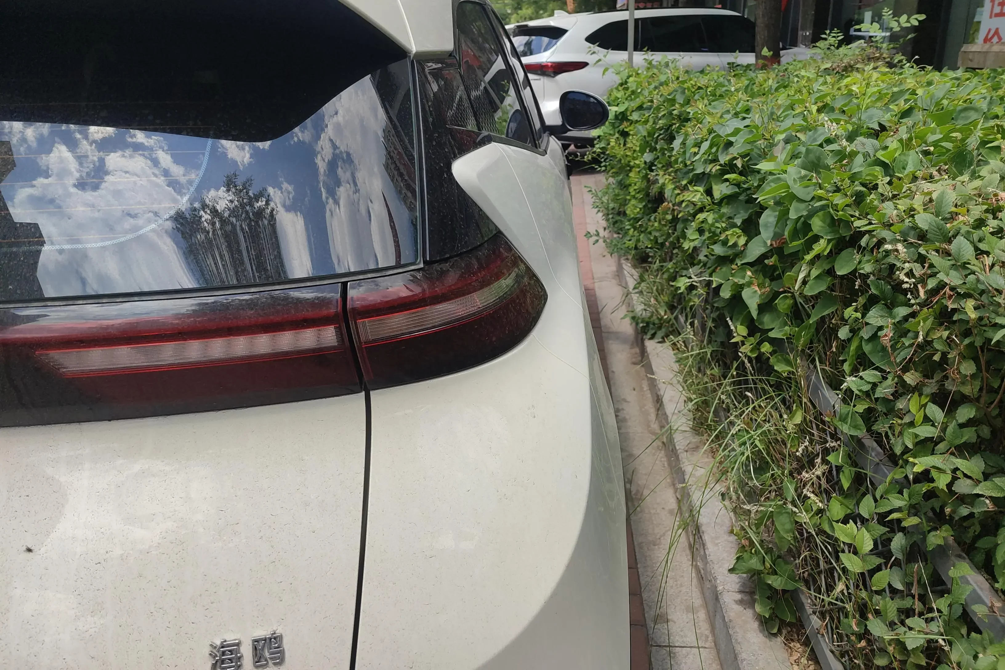 BYD seagull