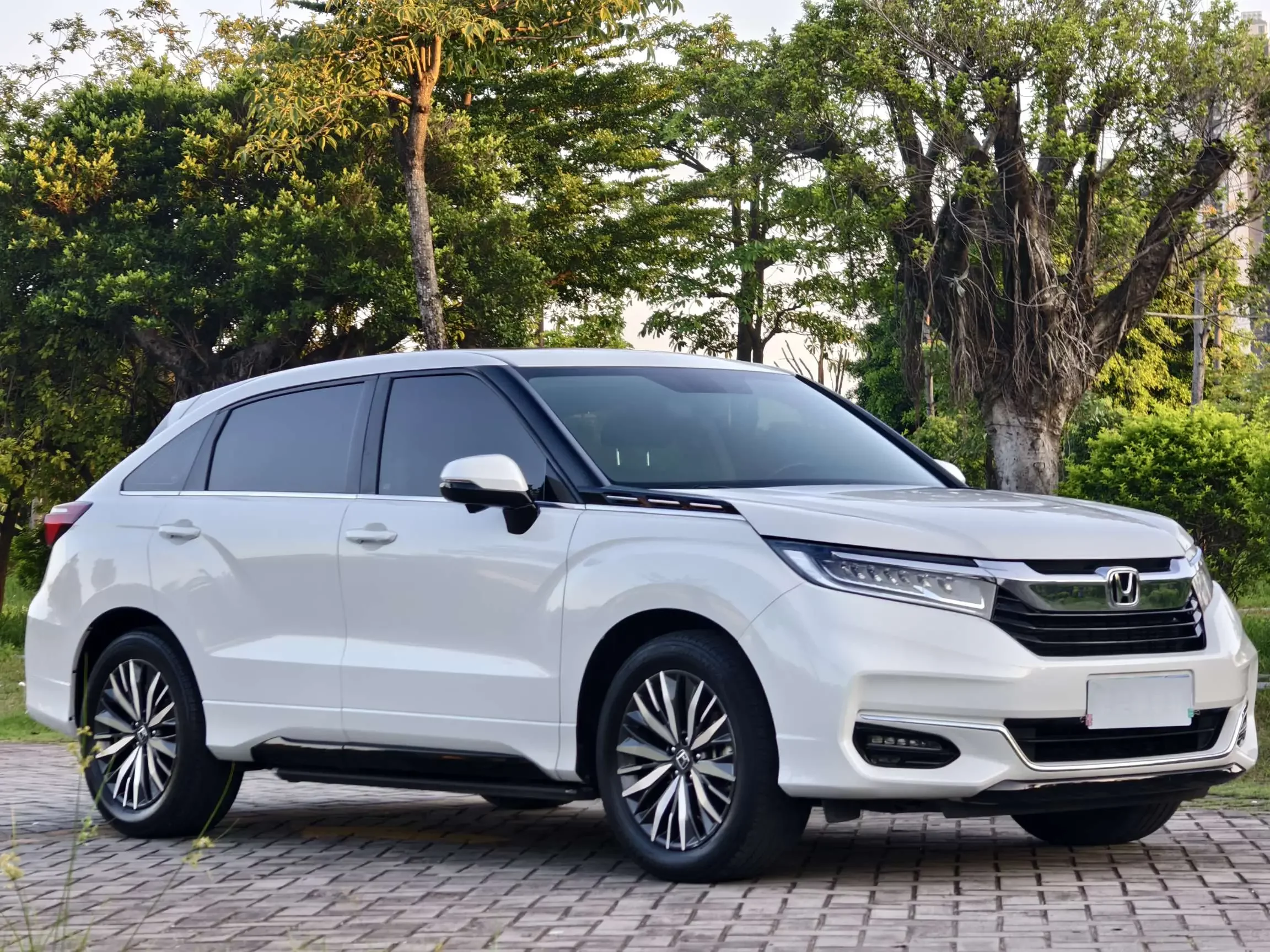 Honda Avancier