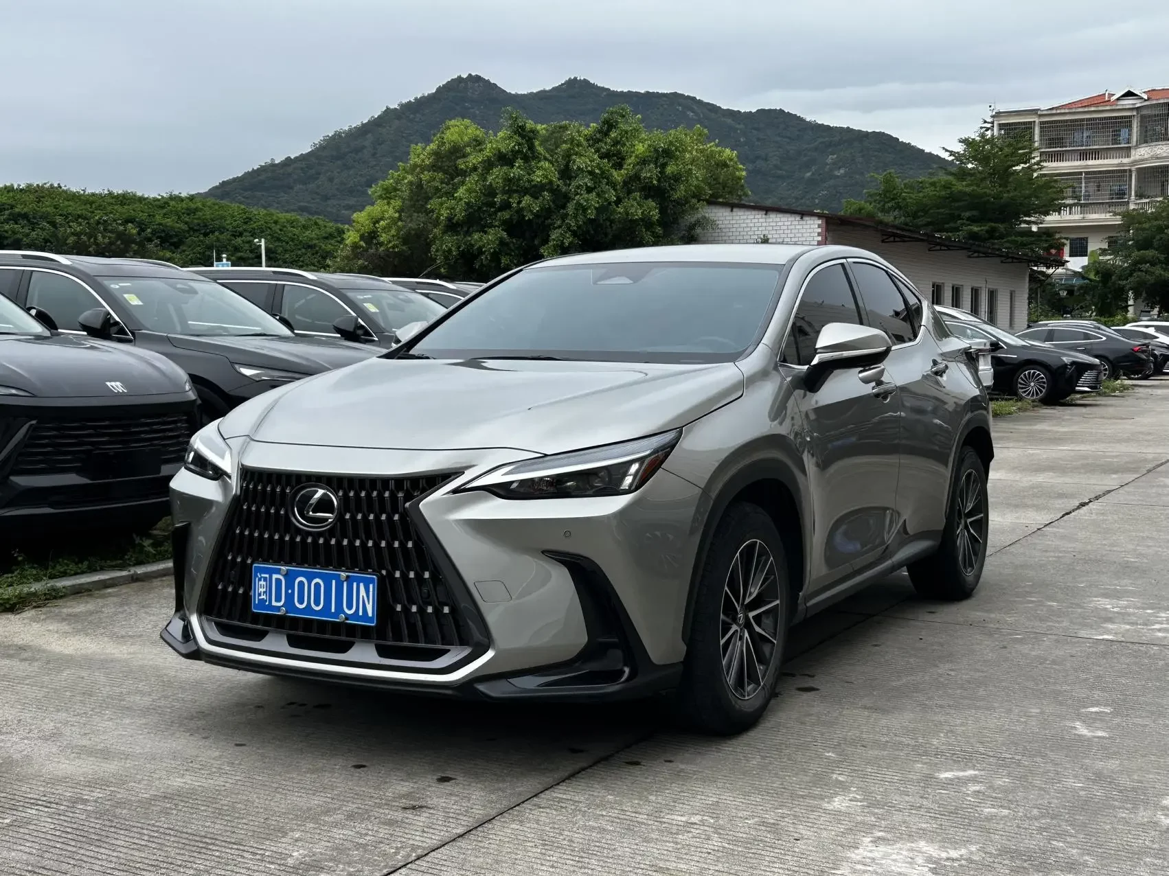 Lexus NX