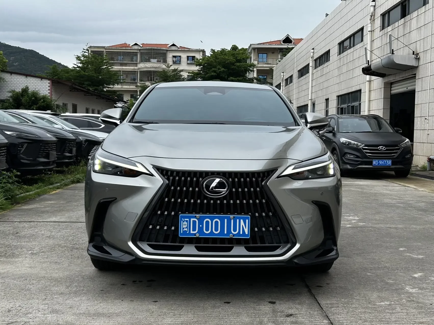 Lexus NX