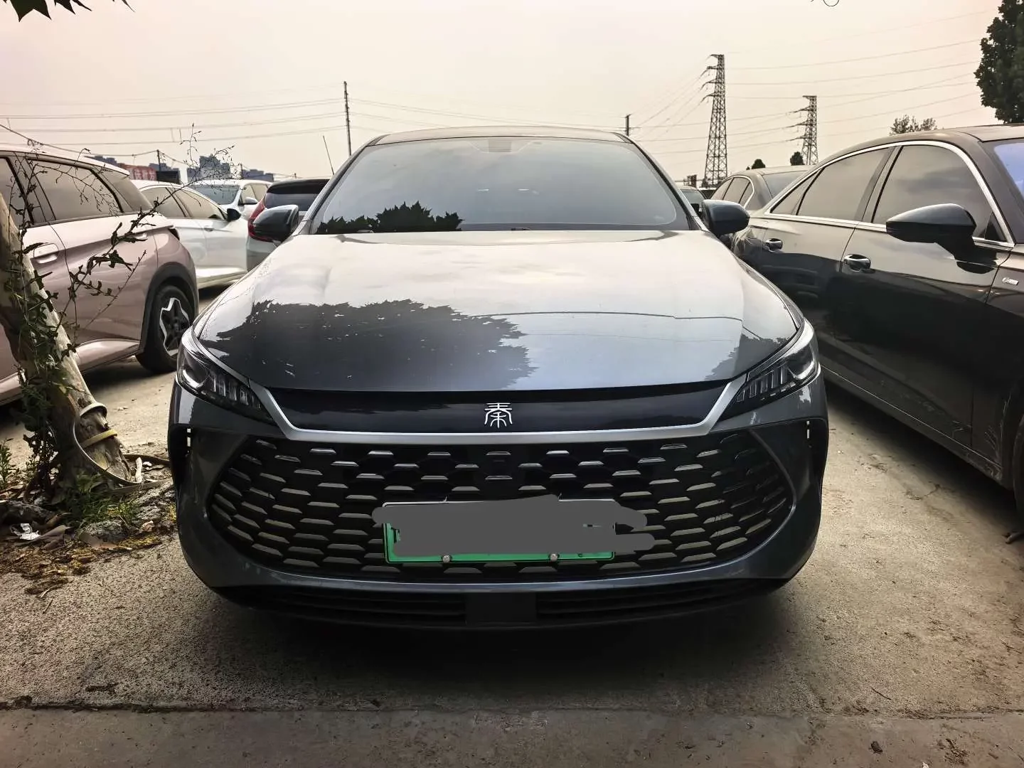 BYD Qin PLUS DM