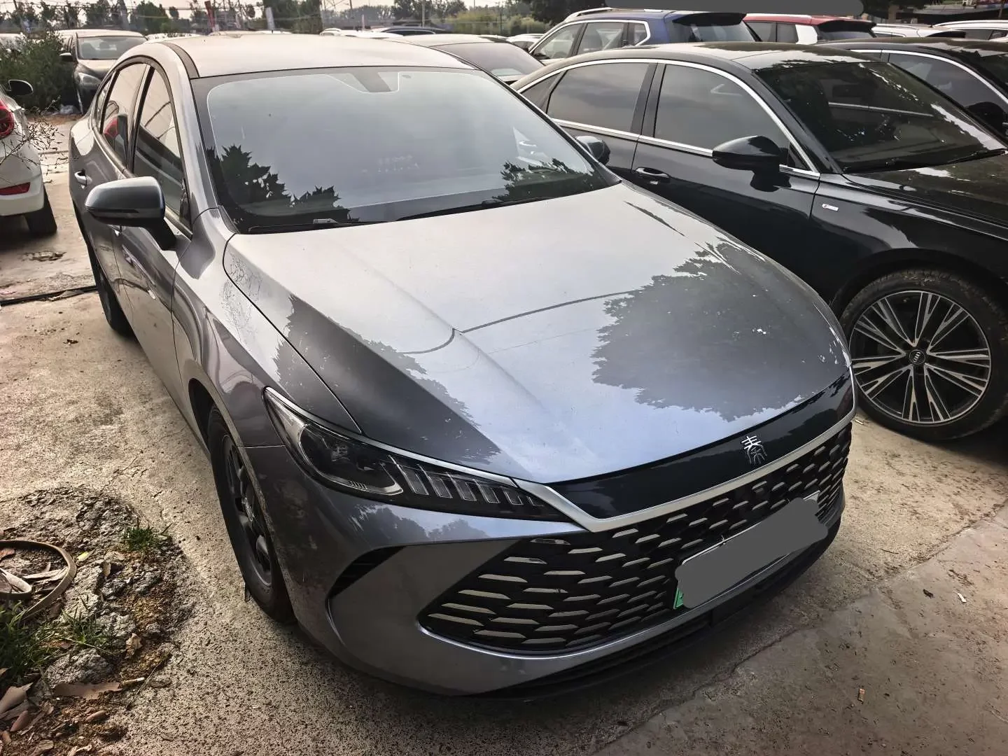 BYD Qin PLUS DM