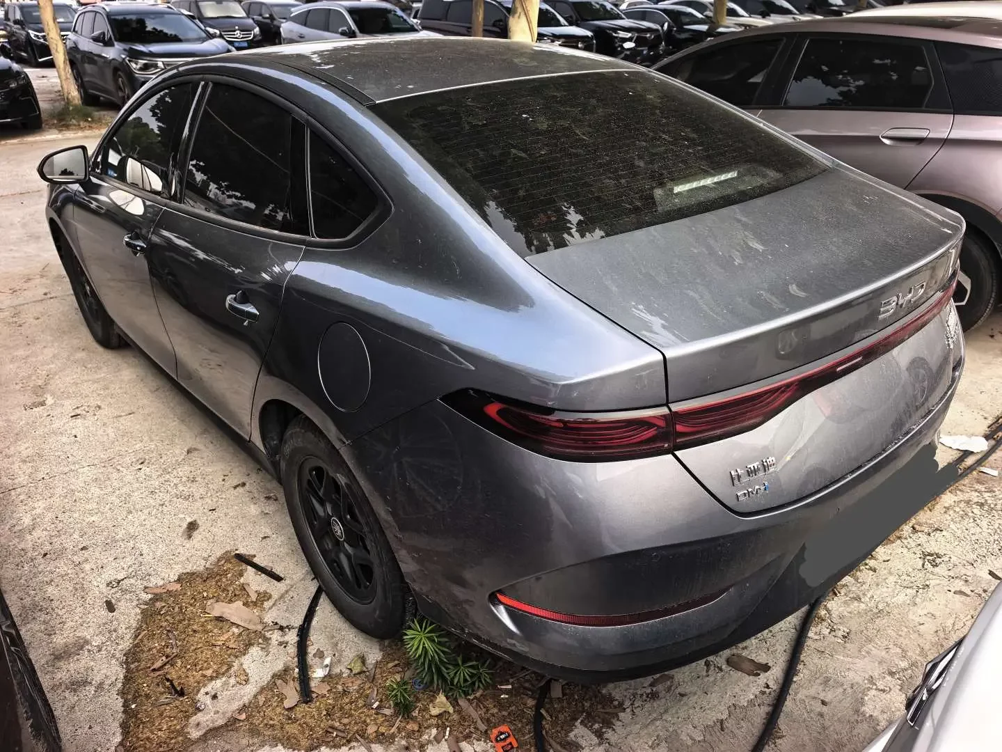 BYD Qin PLUS DM