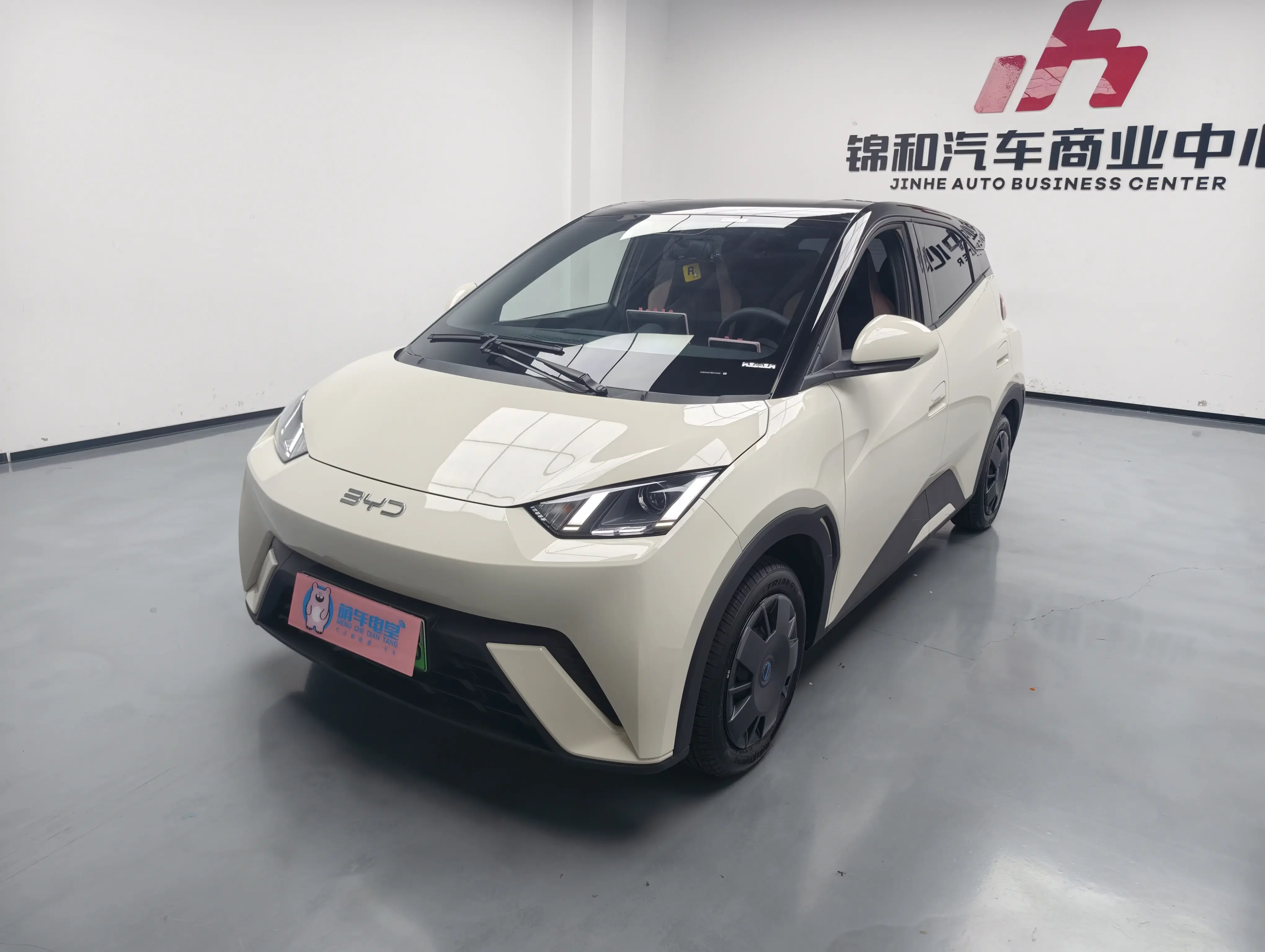 BYD seagull