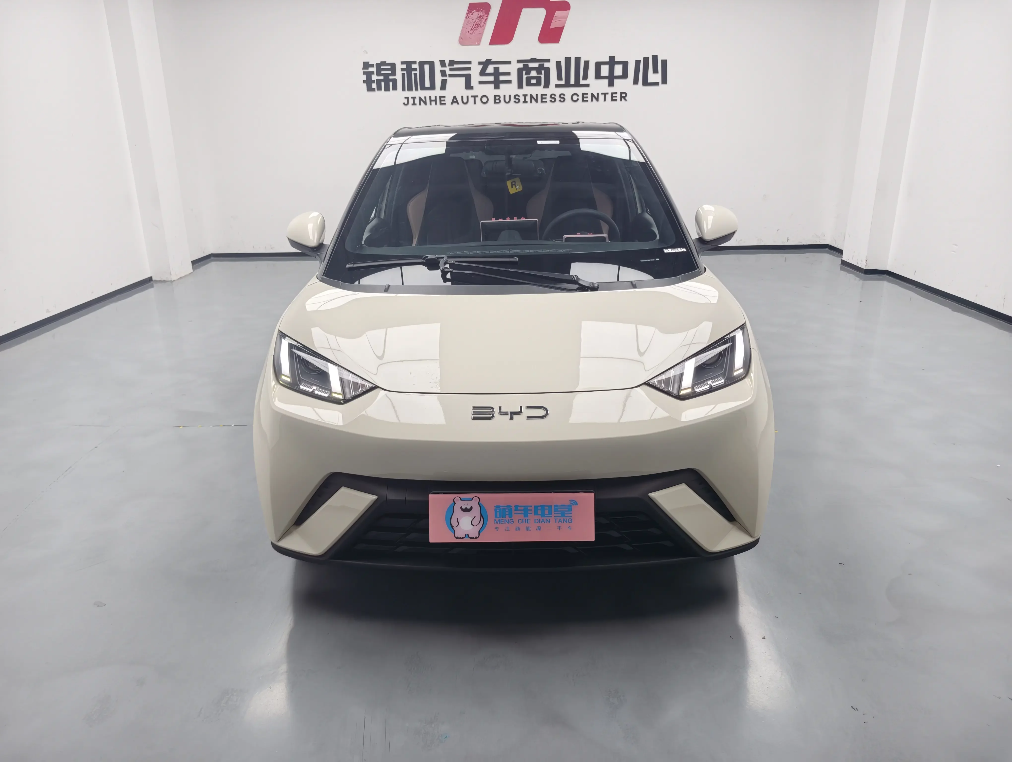 BYD seagull