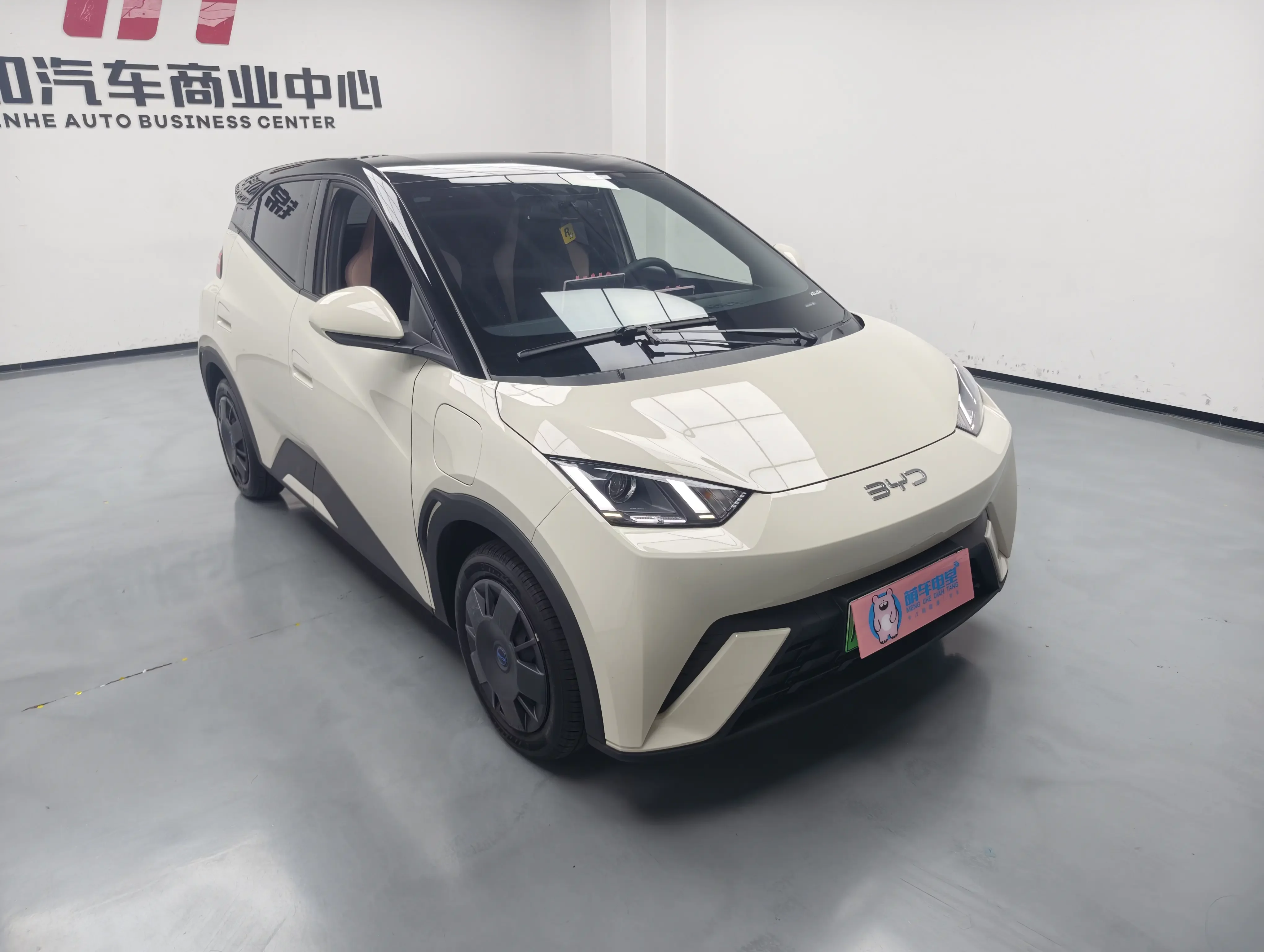 BYD seagull