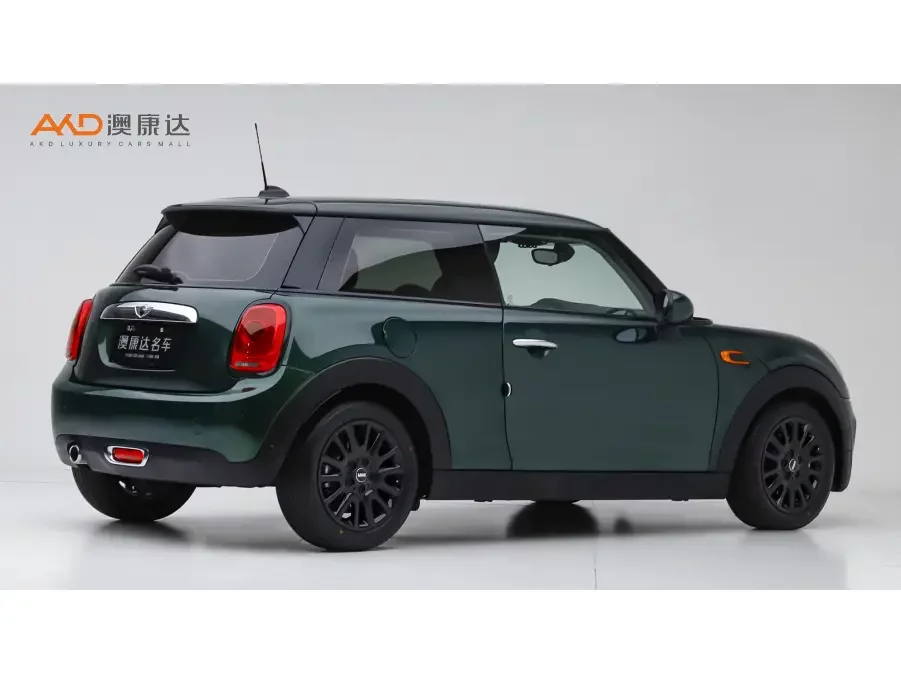 MINI 