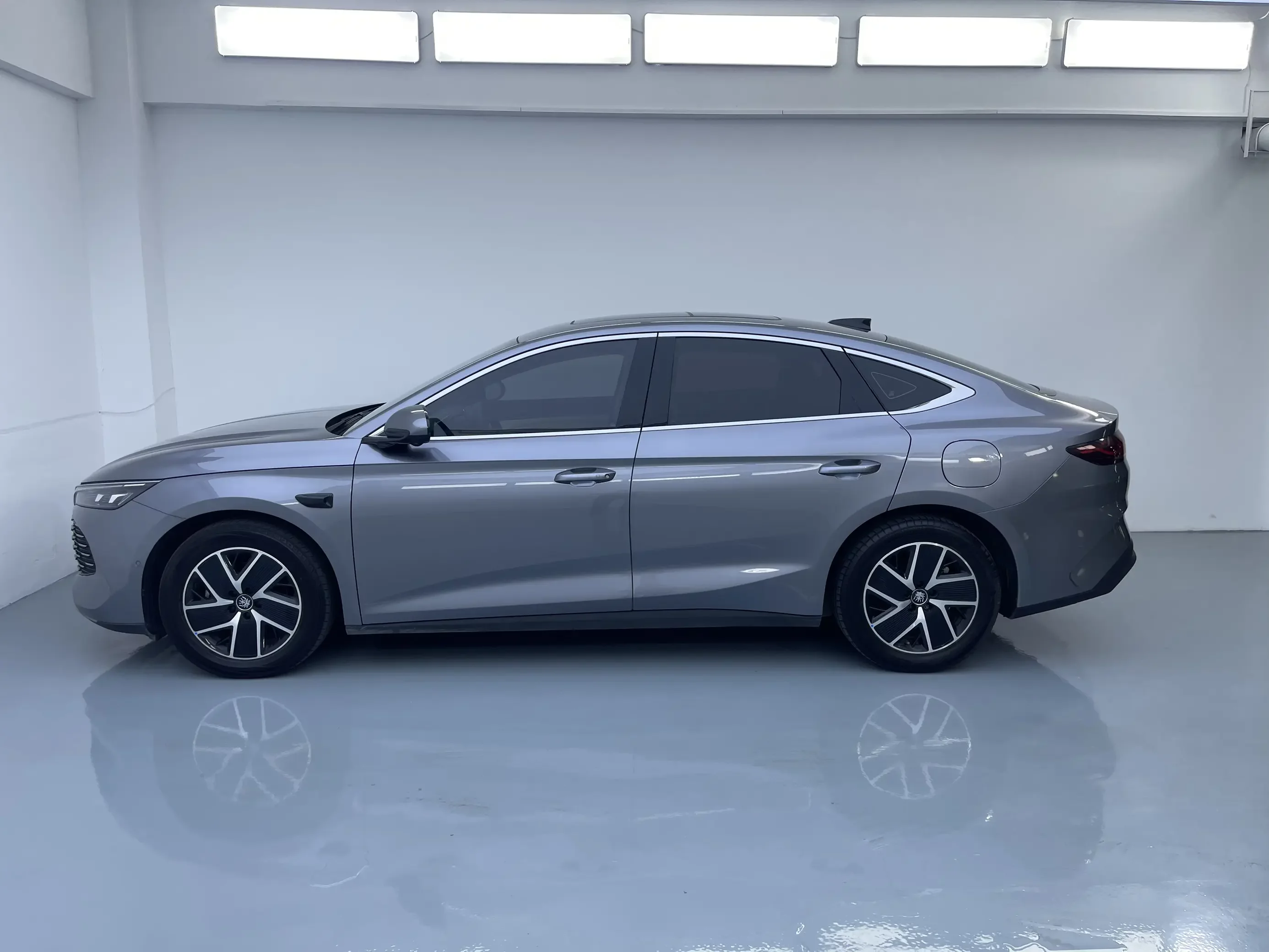 BYD Qin L DM