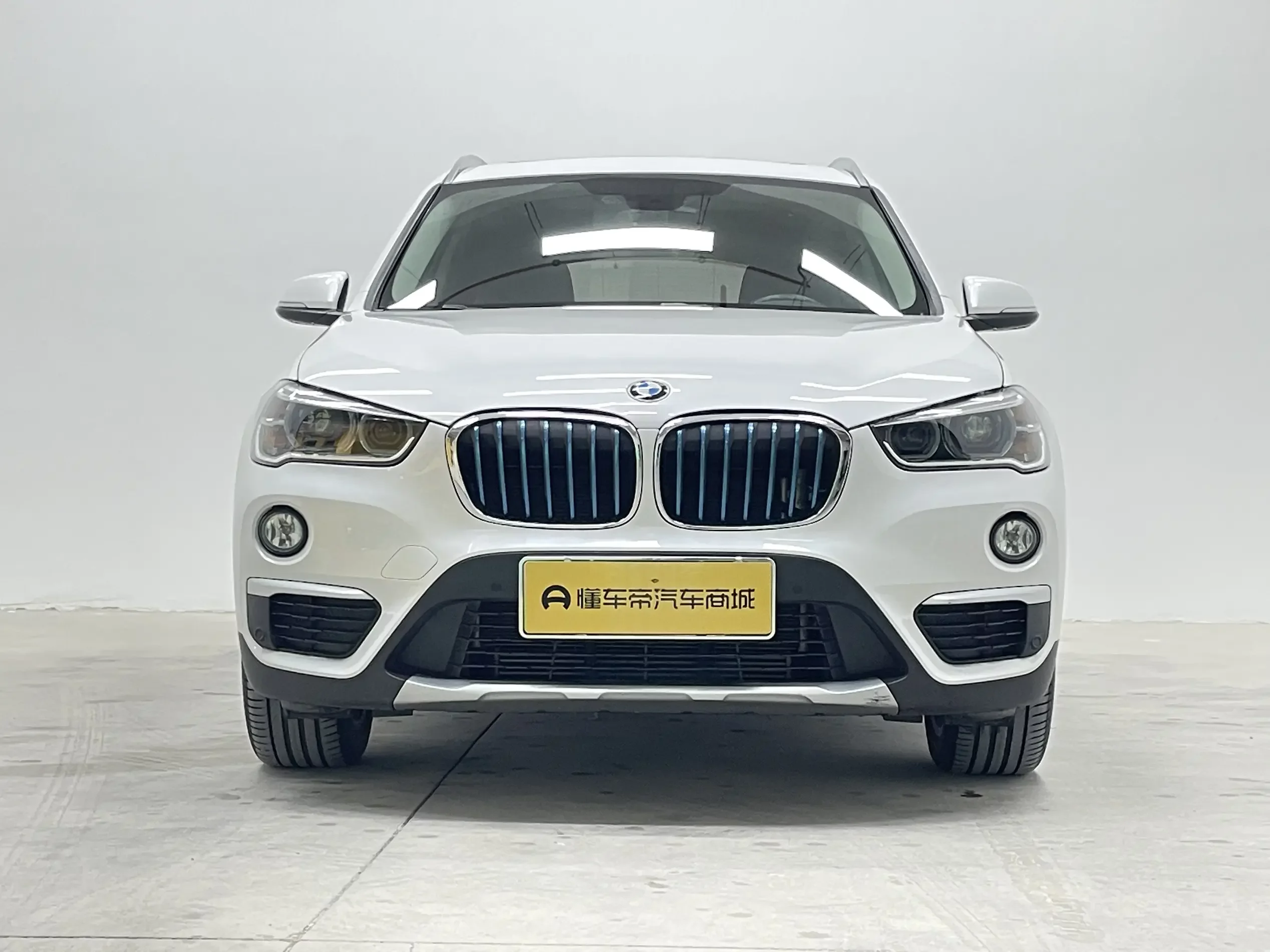BMW X1 PHEV
