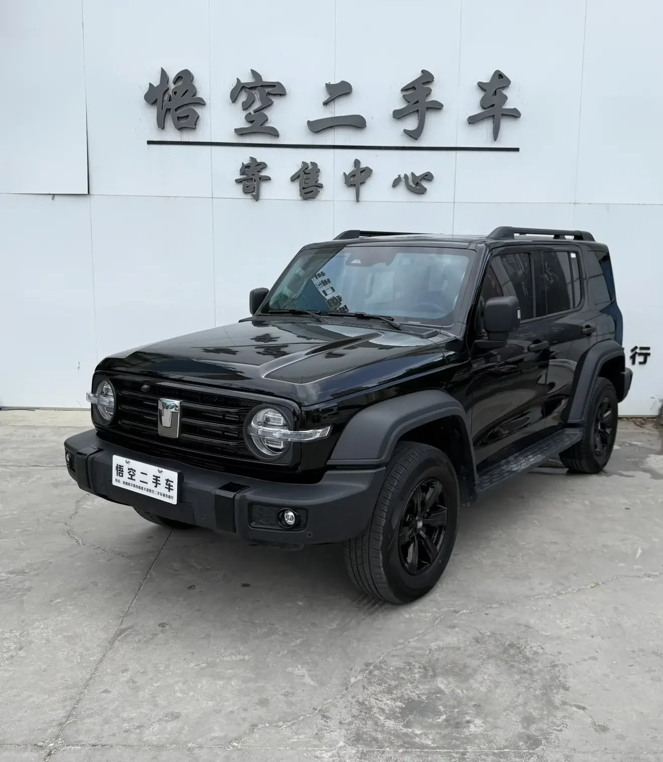 Tank 300