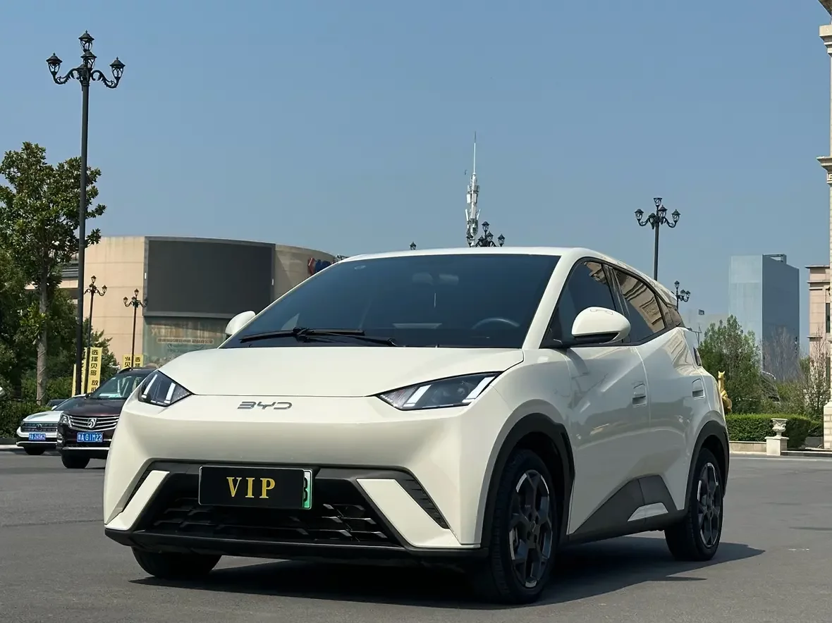 BYD seagull