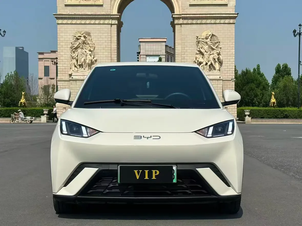 BYD seagull
