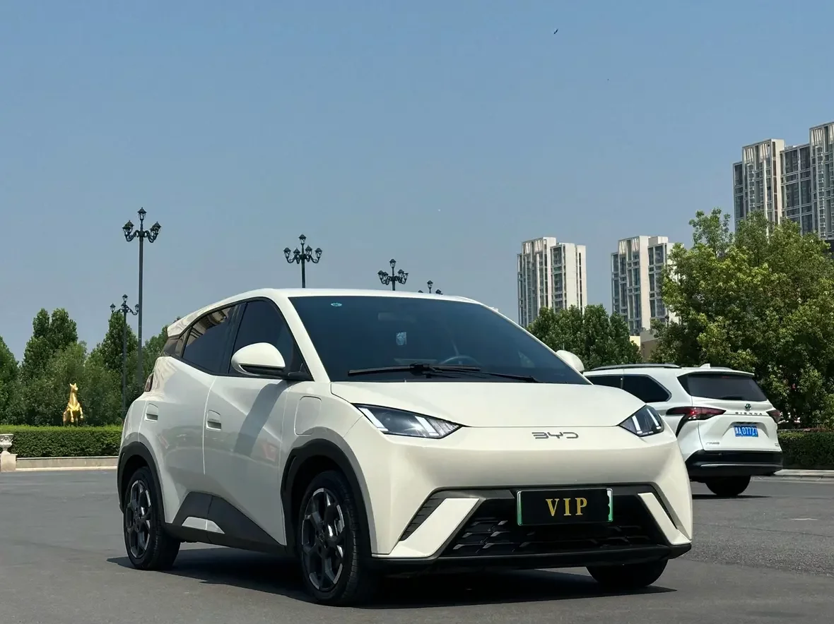 BYD seagull