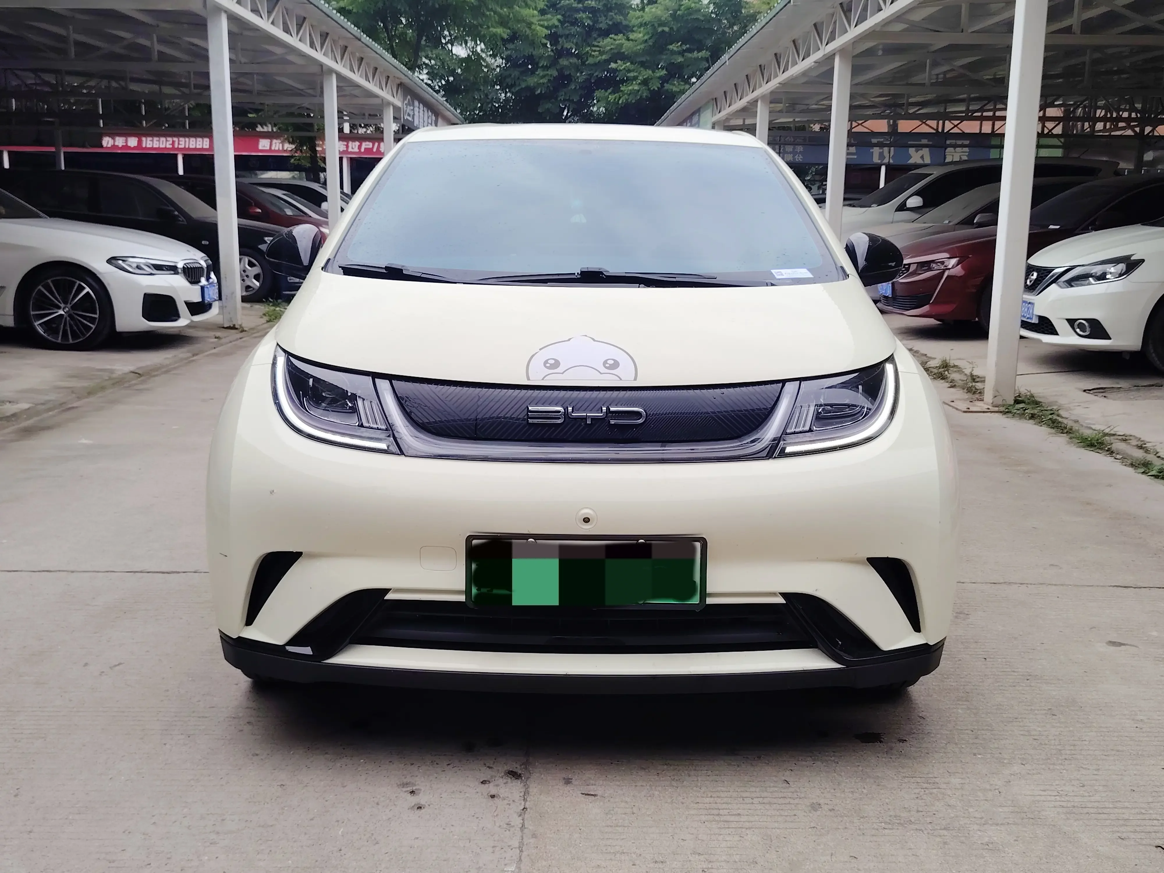 BYD dolphin