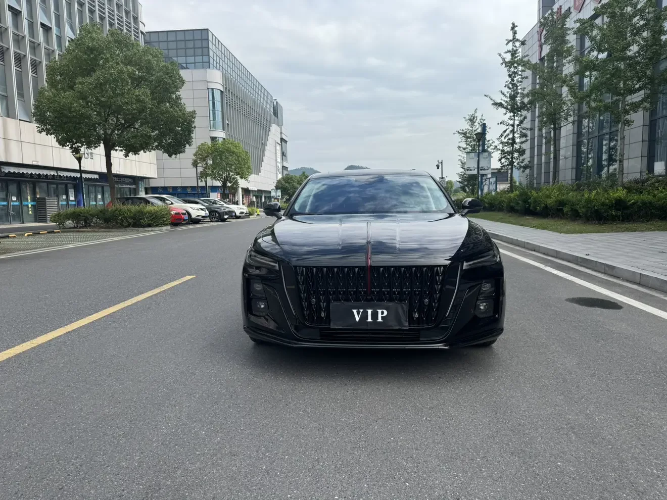 Hongqi H5