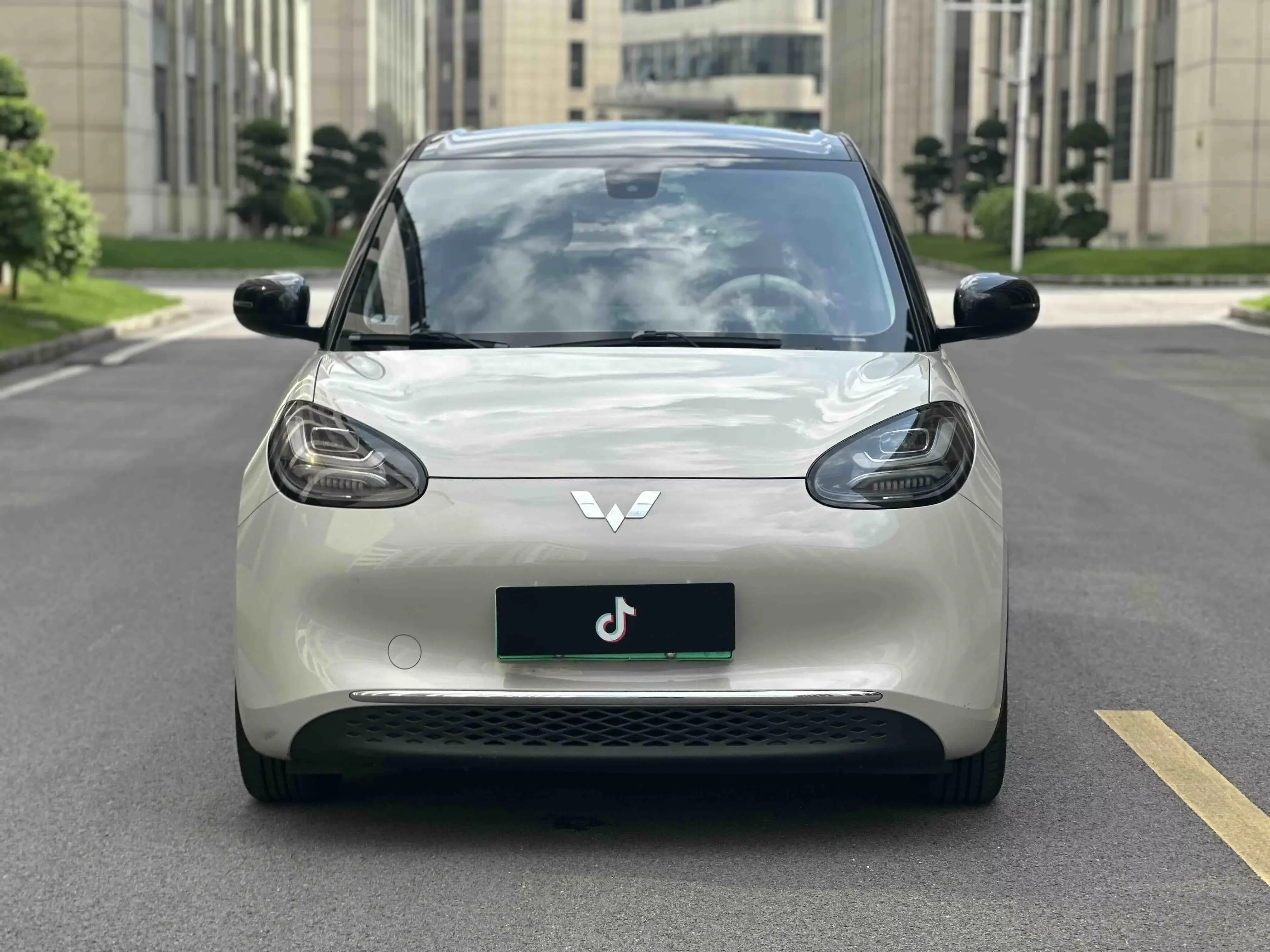 Wuling Bingo