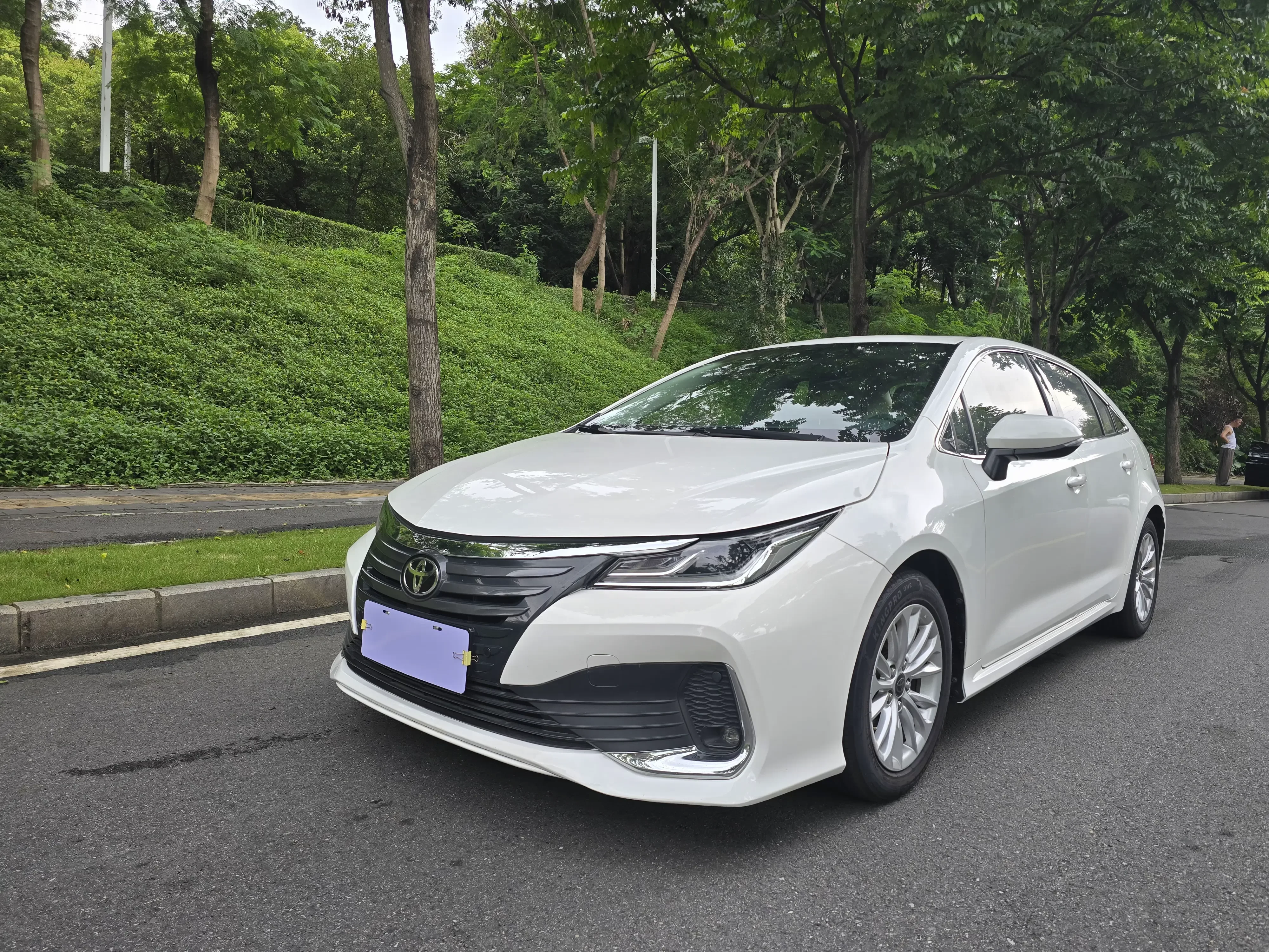 Toyota Asiatic lion