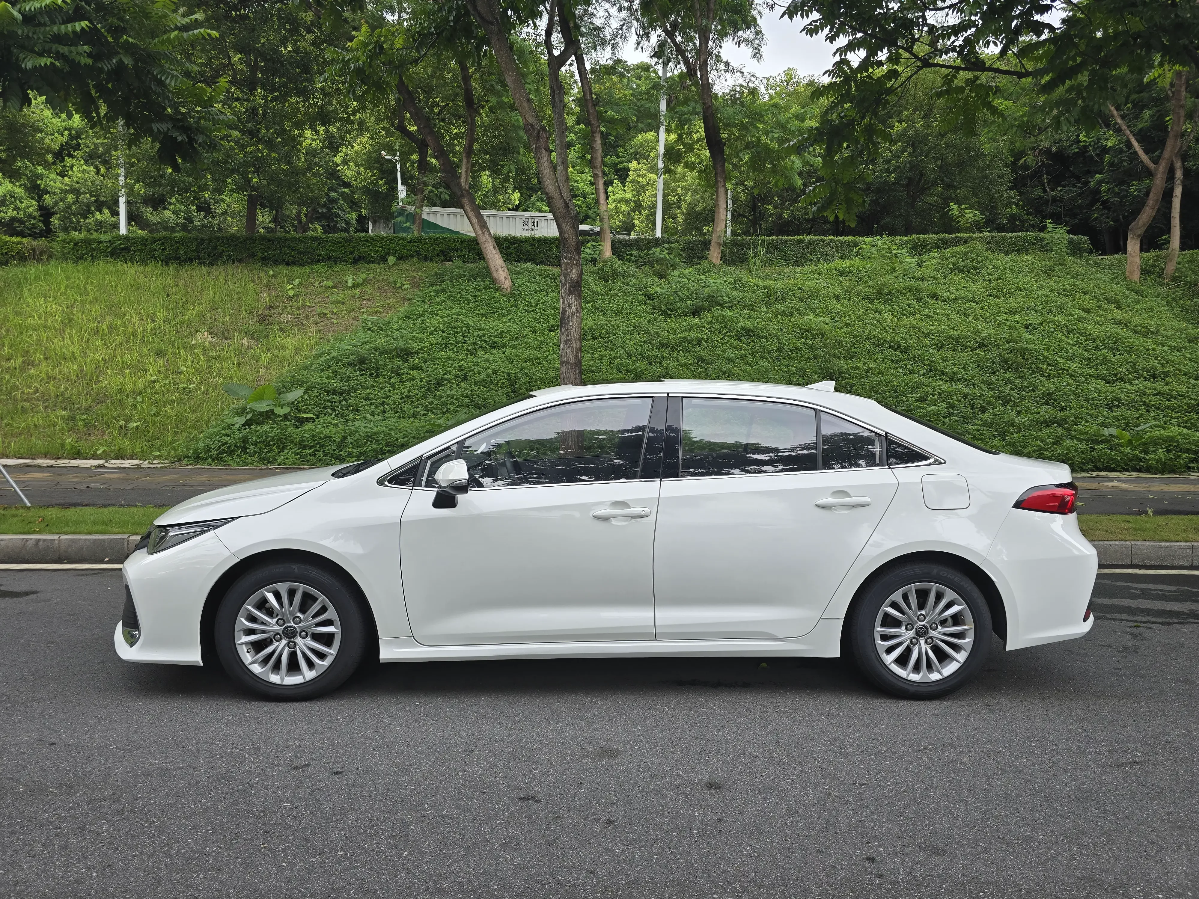 Toyota Asiatic lion