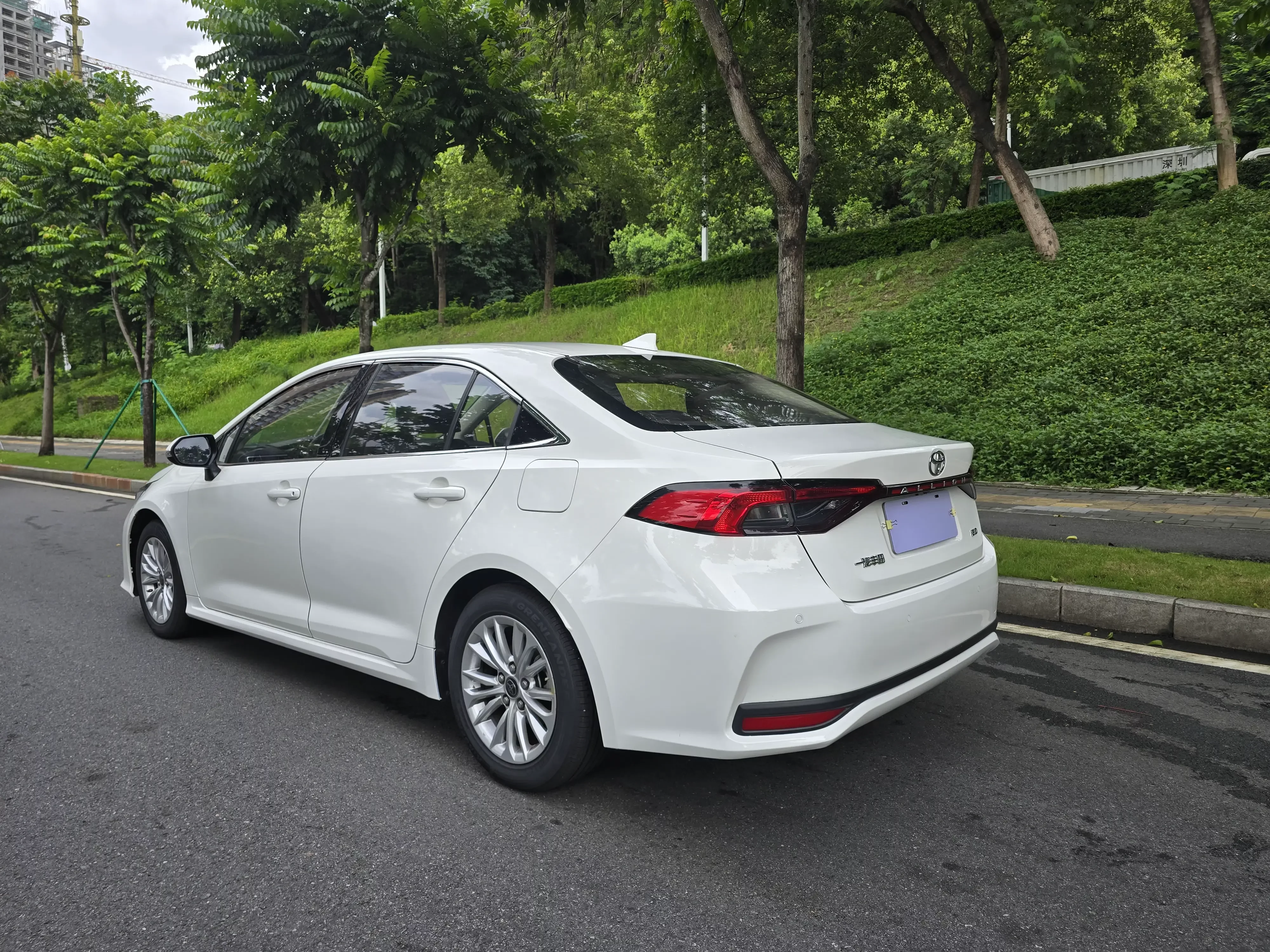 Toyota Asiatic lion