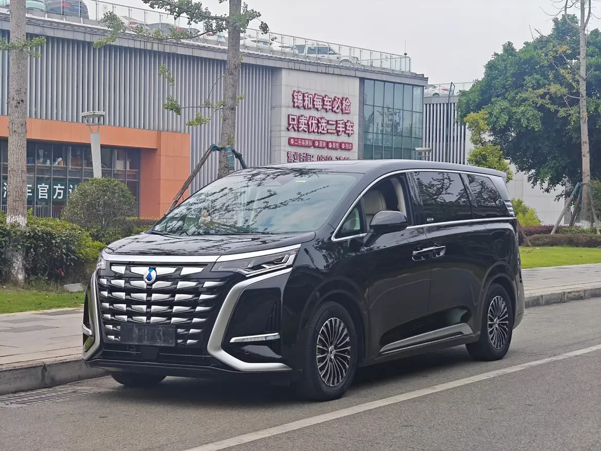Denza D9 DM