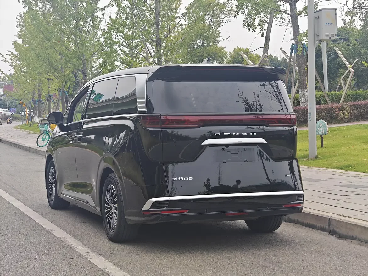 Denza D9 DM