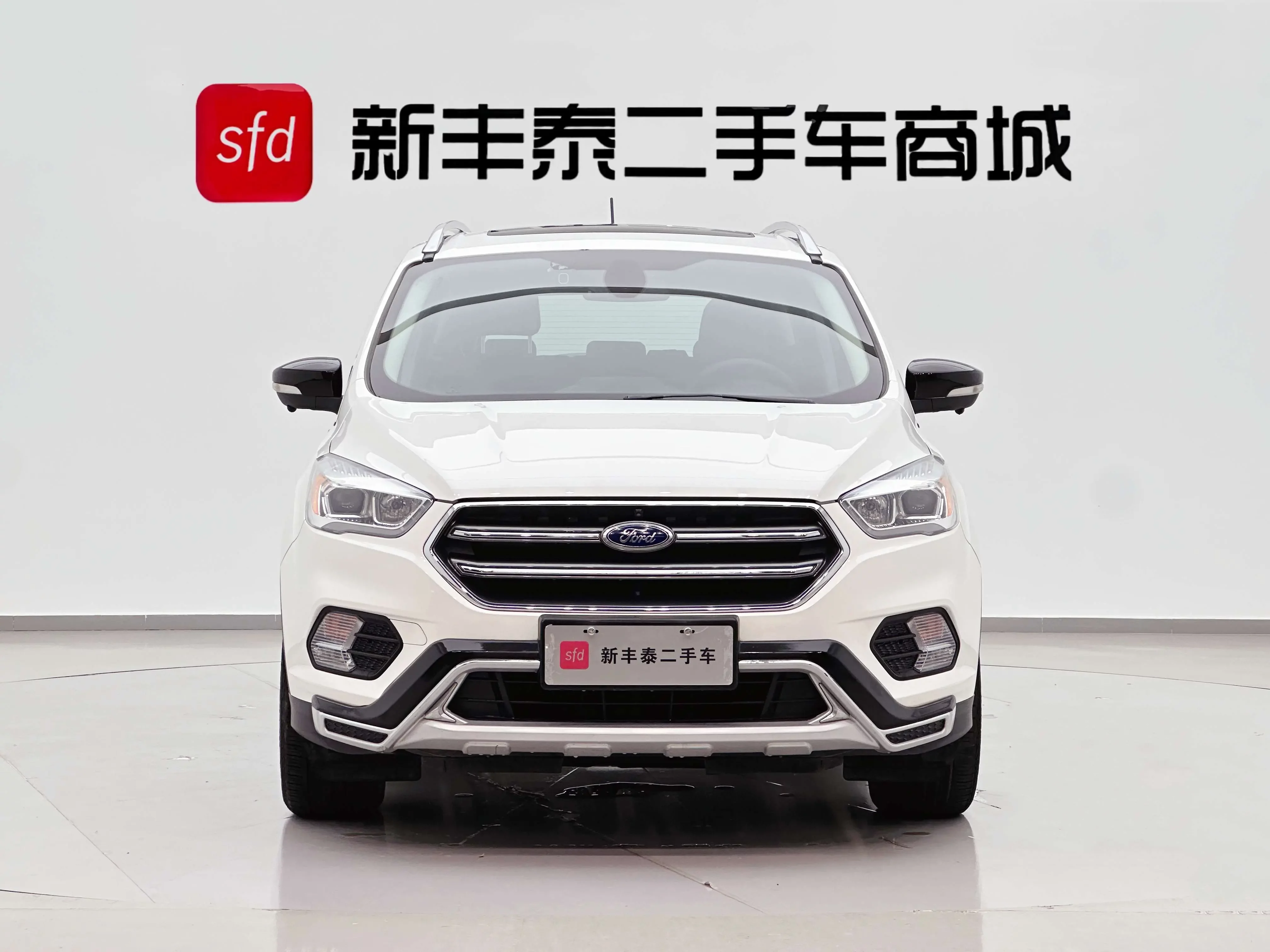 Ford wing tiger