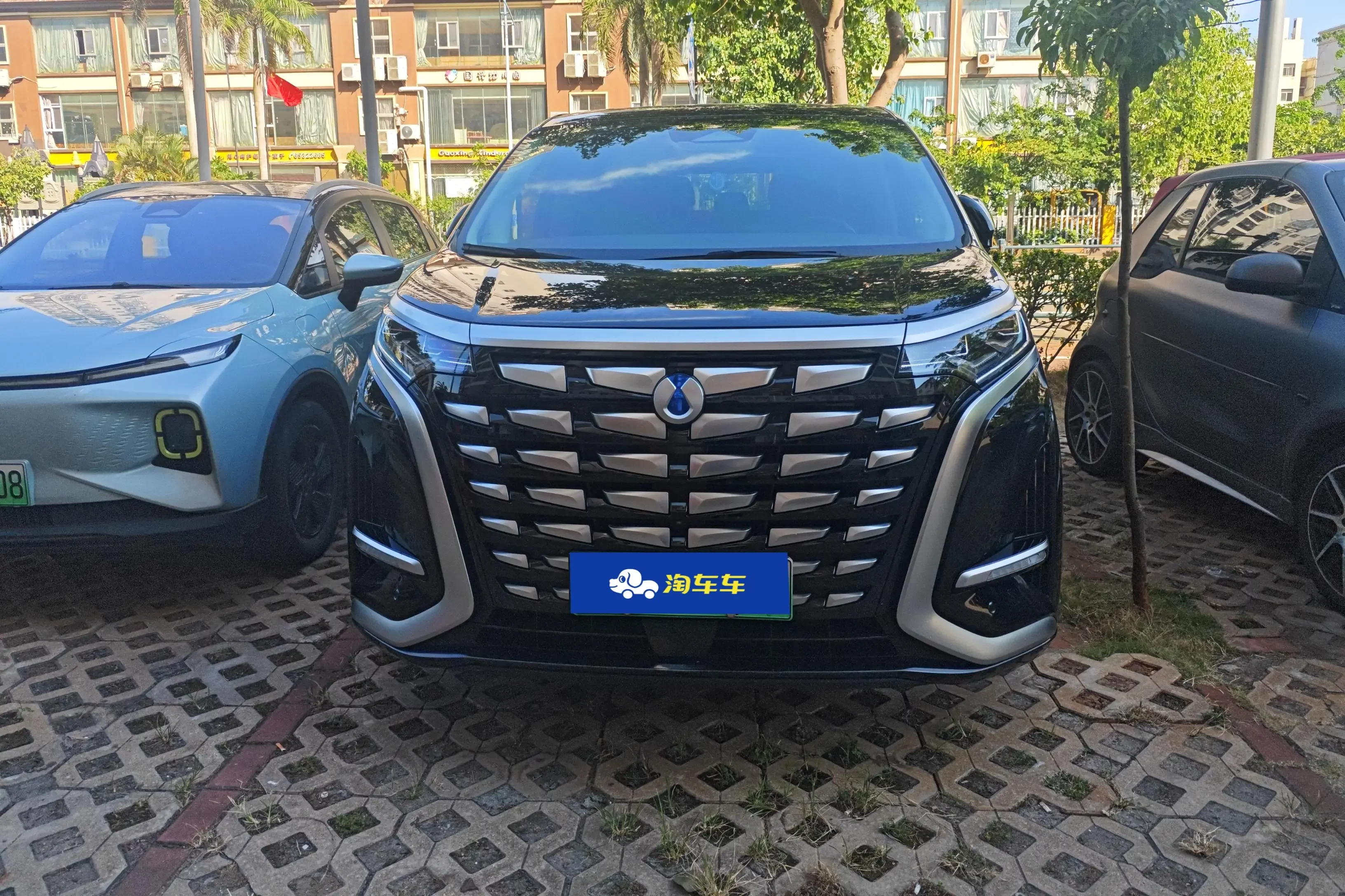 Denza D9 DM