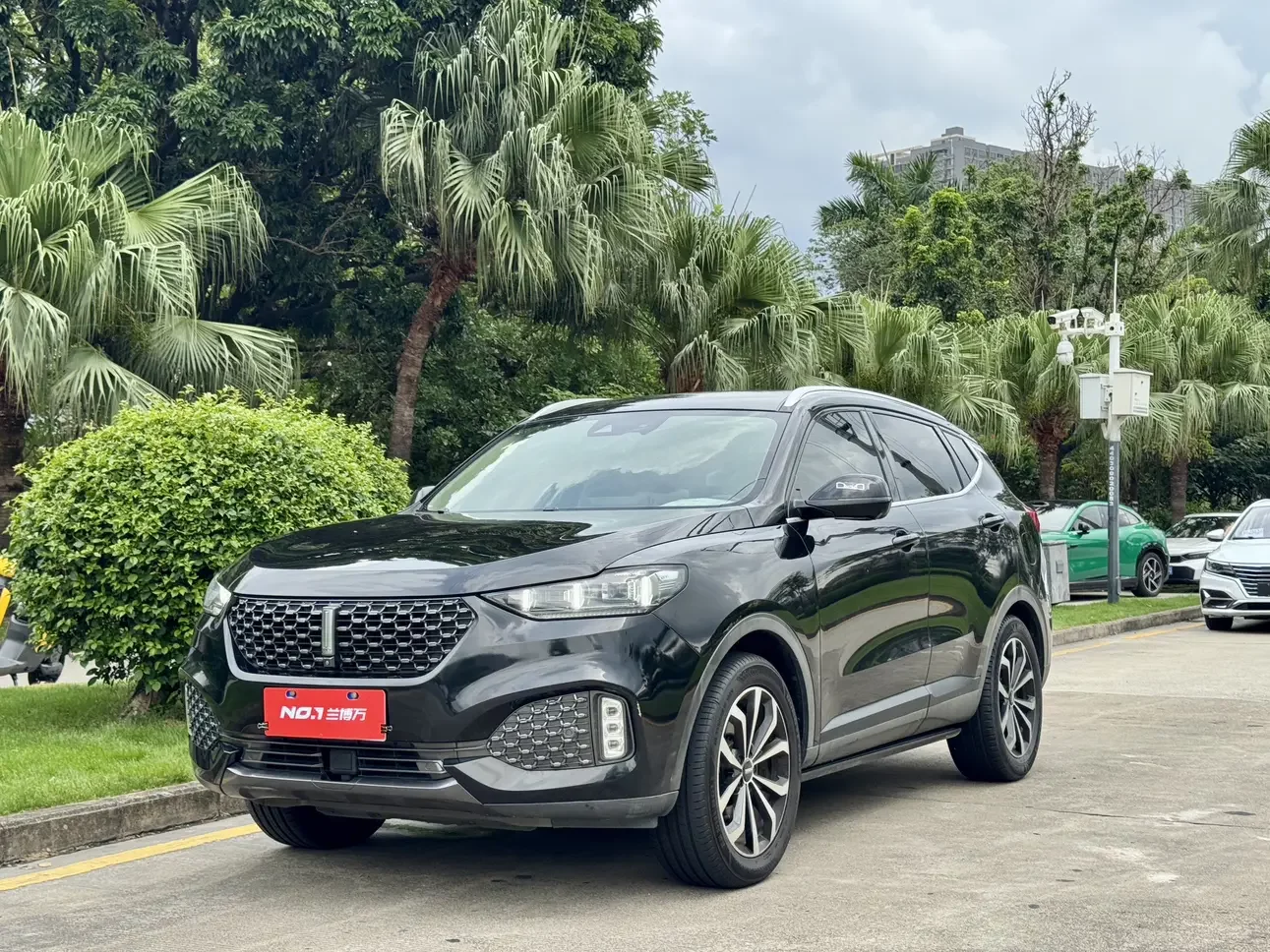 Wey Wei brand VV6