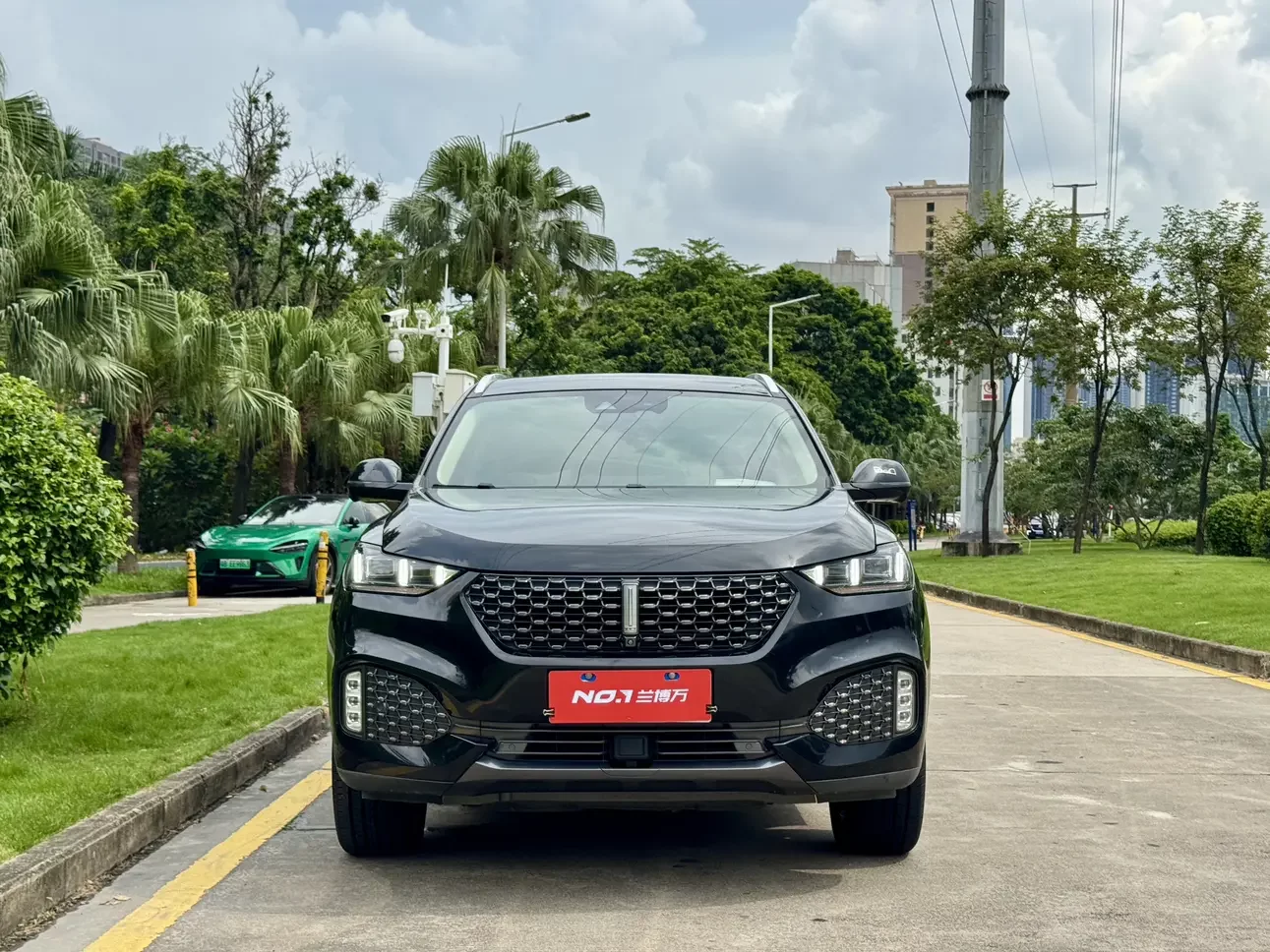 Wey Wei brand VV6