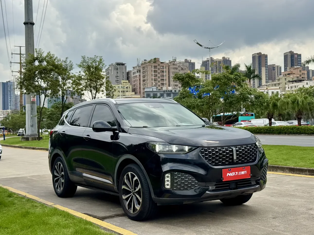 Wey Wei brand VV6
