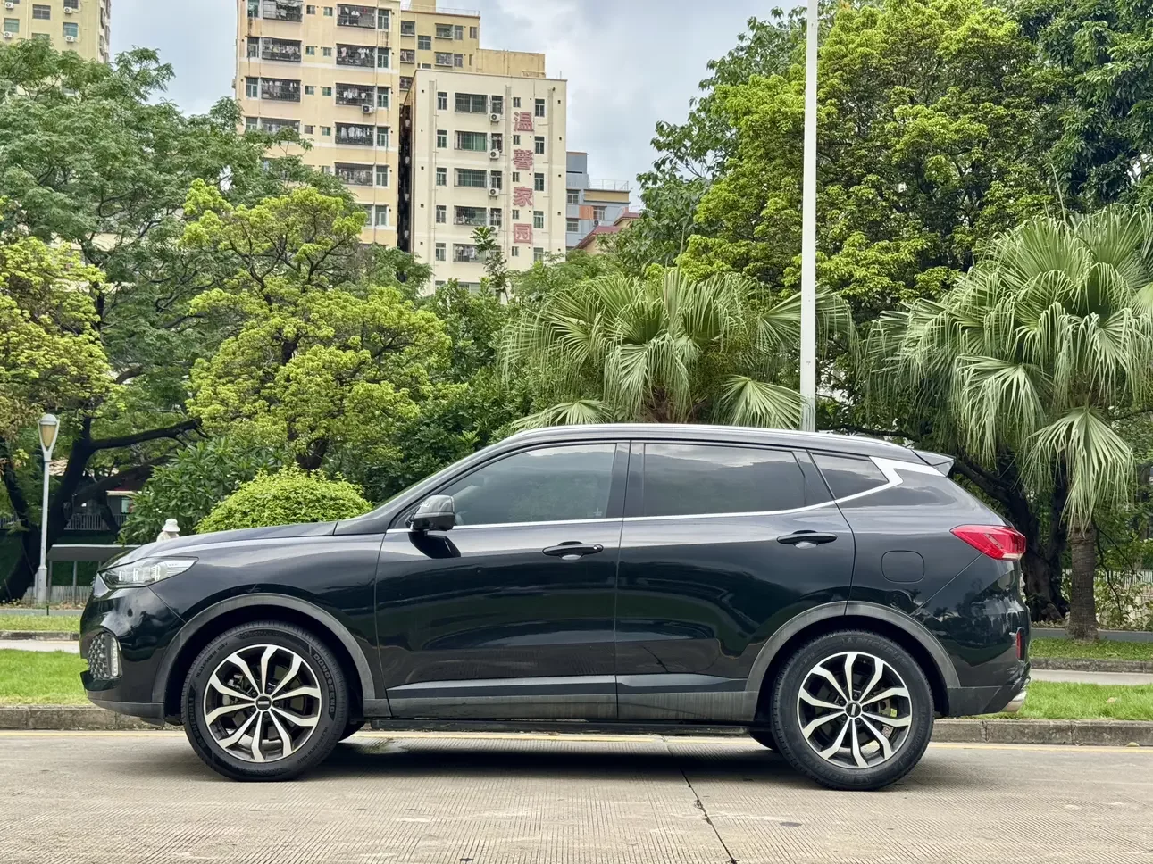 Wey Wei brand VV6