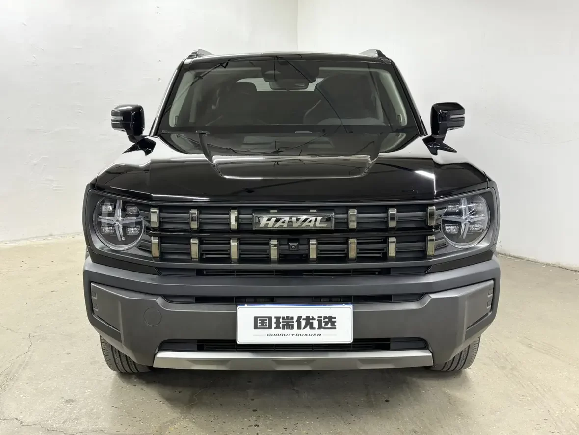 Haval cool dog