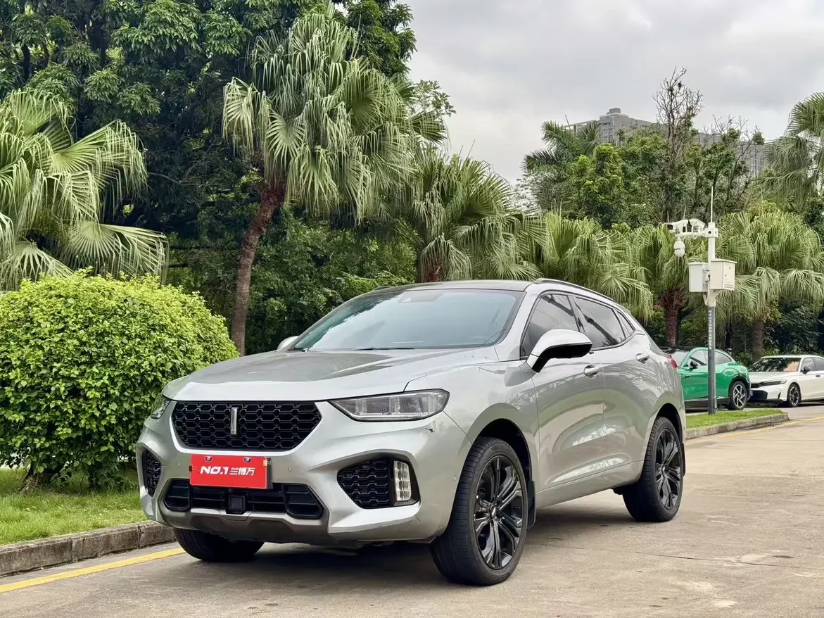 Wey Wei brand VV5