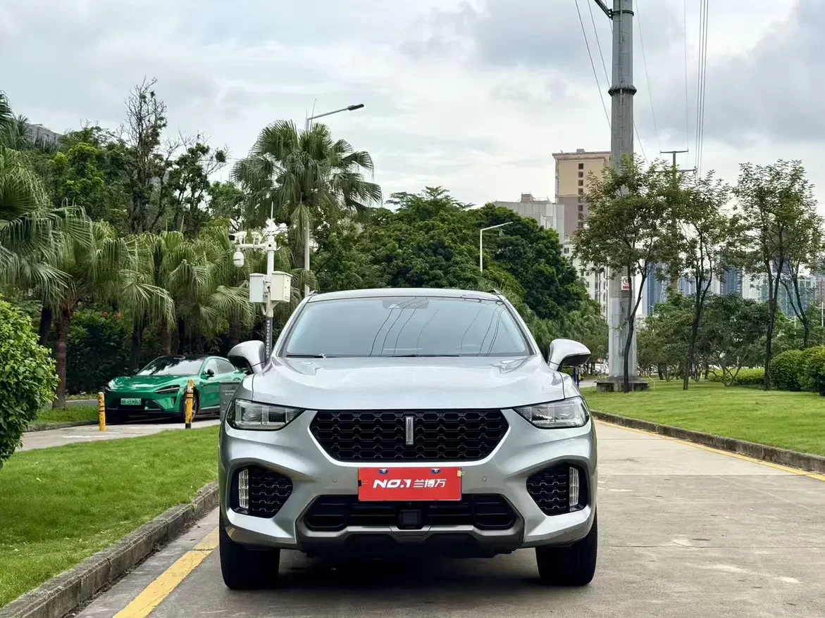 Wey Wei brand VV5
