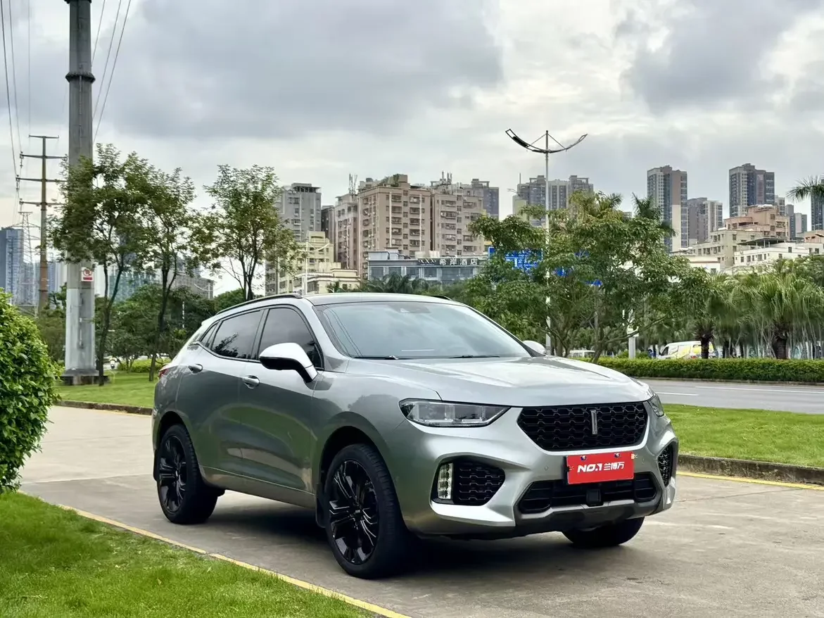 Wey Wei brand VV5