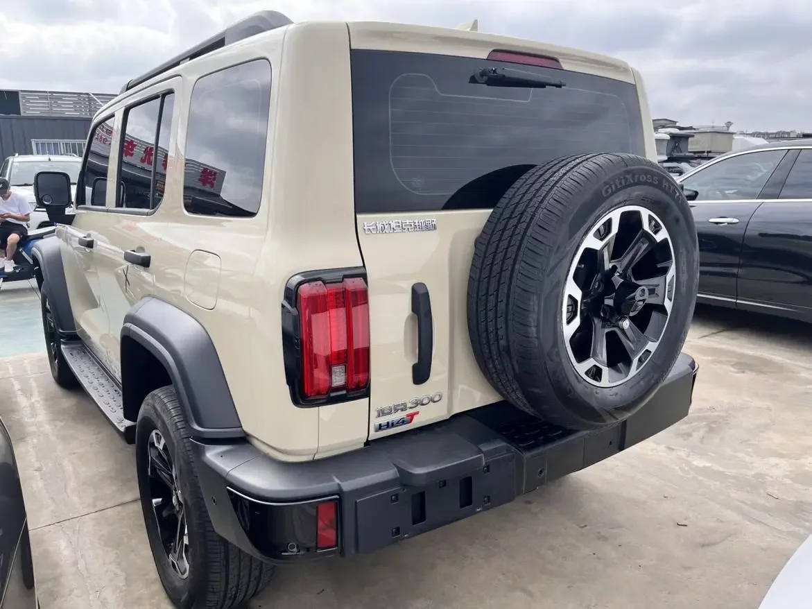 Tank 300 Hi4-T