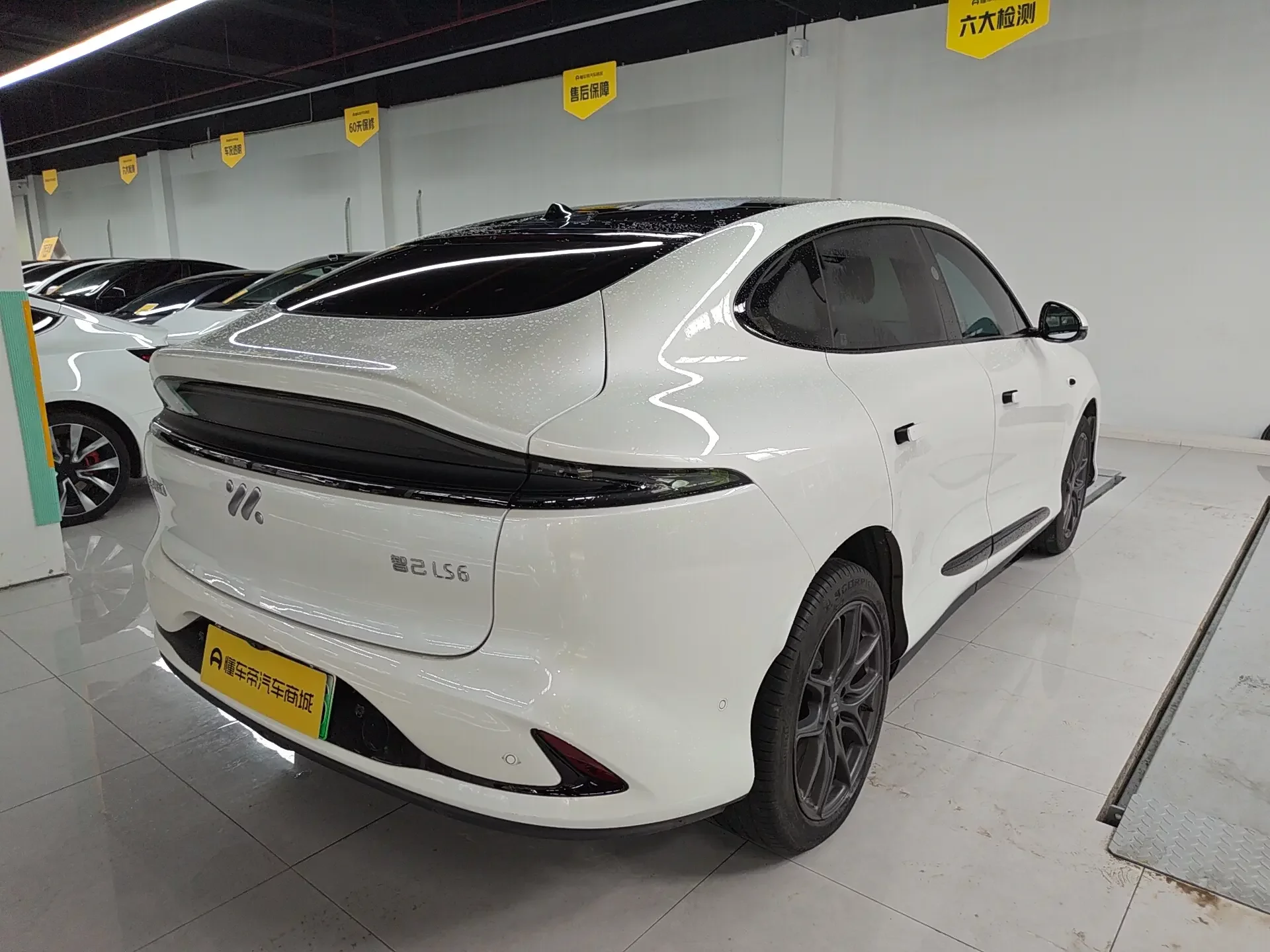 IM Motors LS6