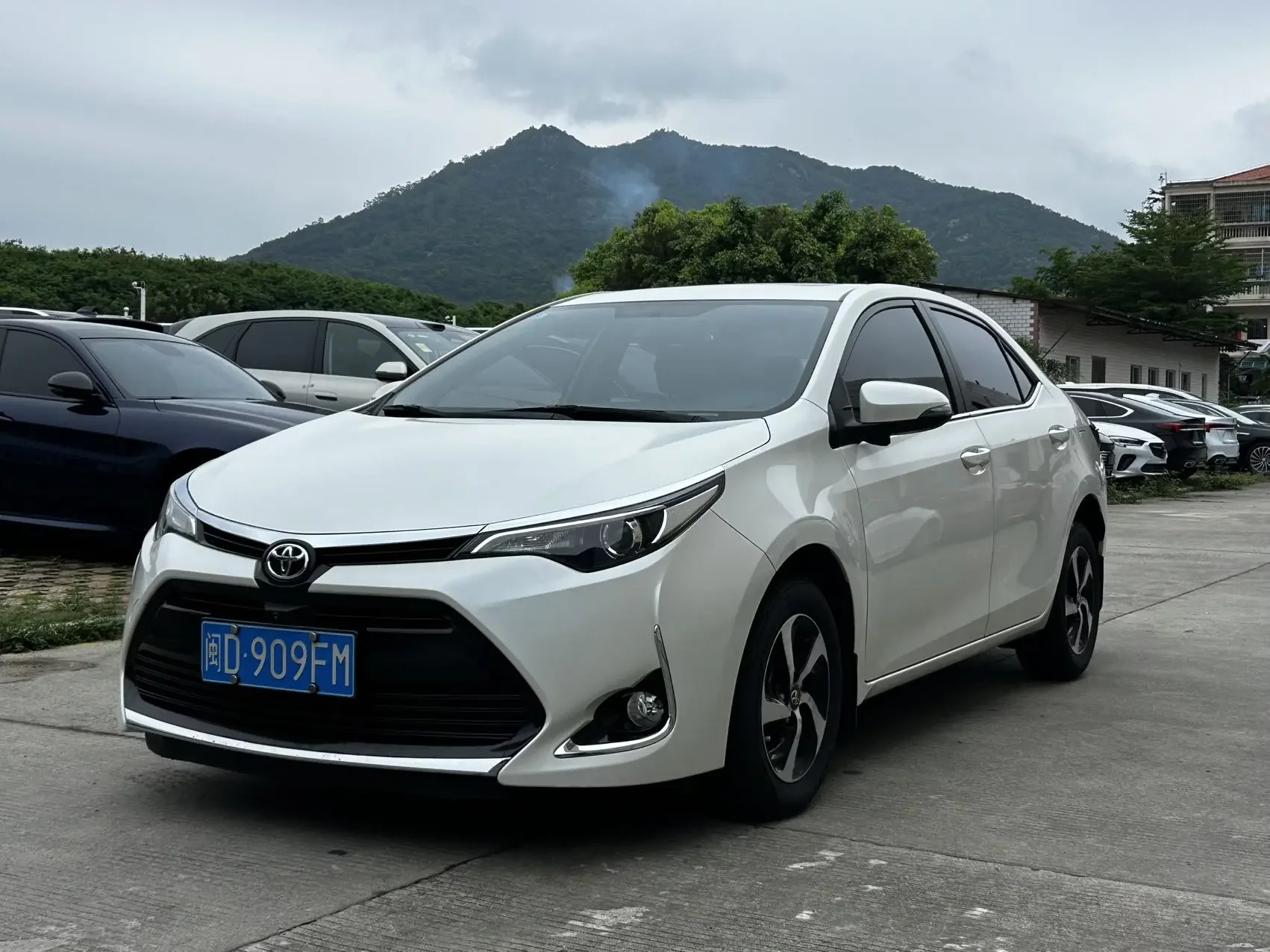 Toyota Levin