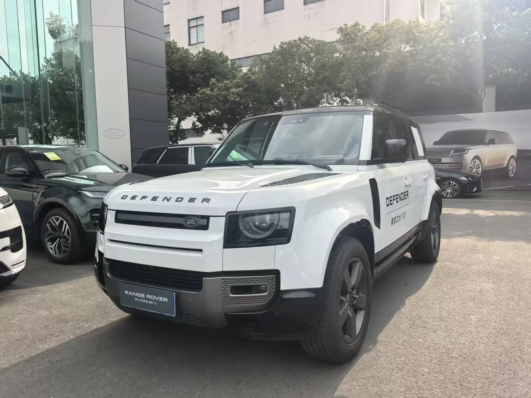 Land Rover guard