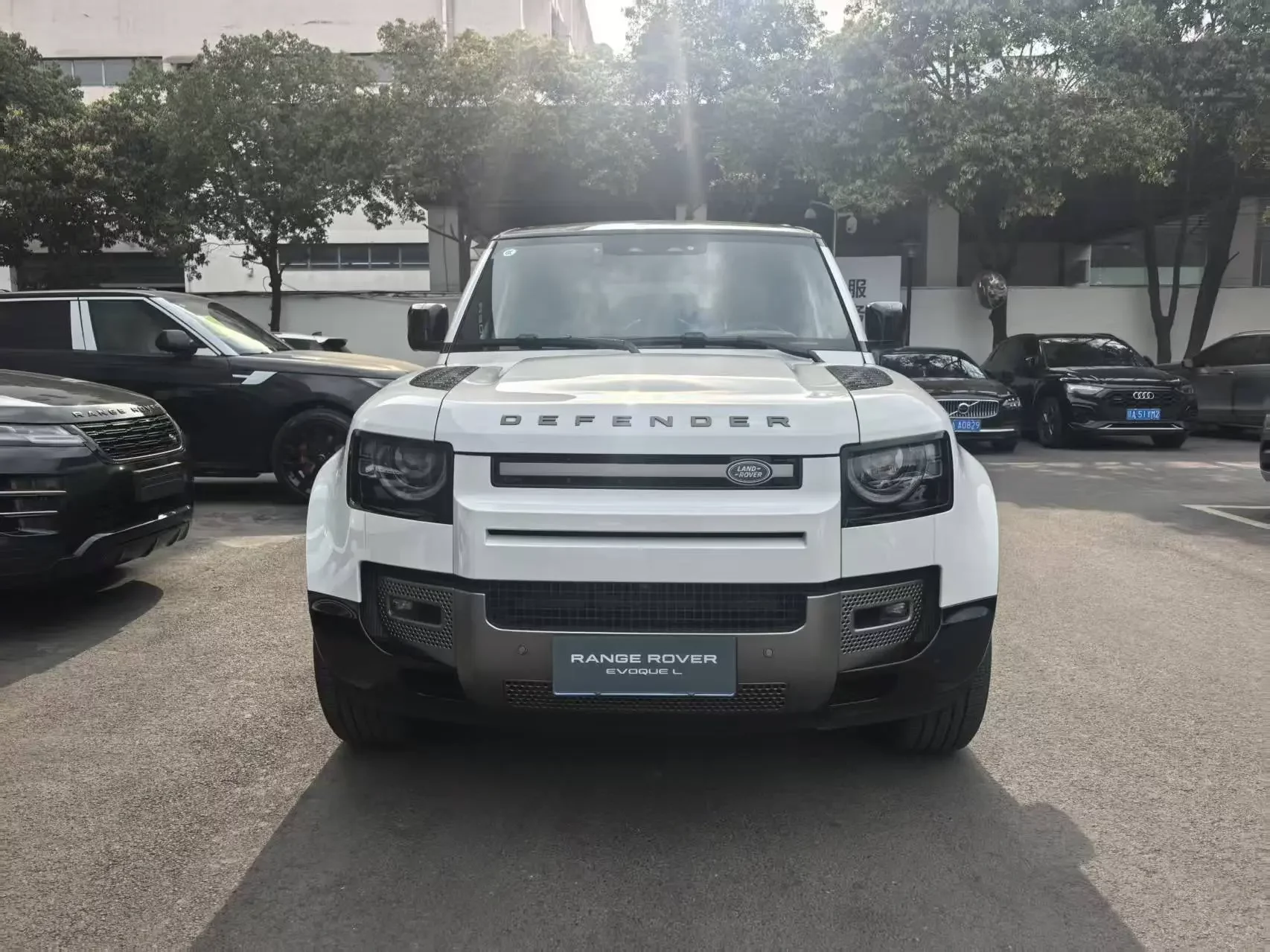 Land Rover guard