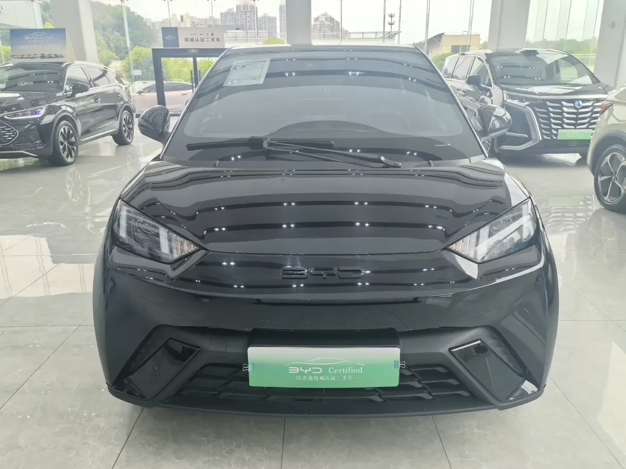BYD seagull
