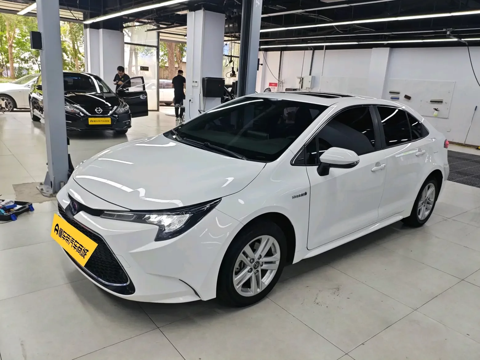 Toyota Levin