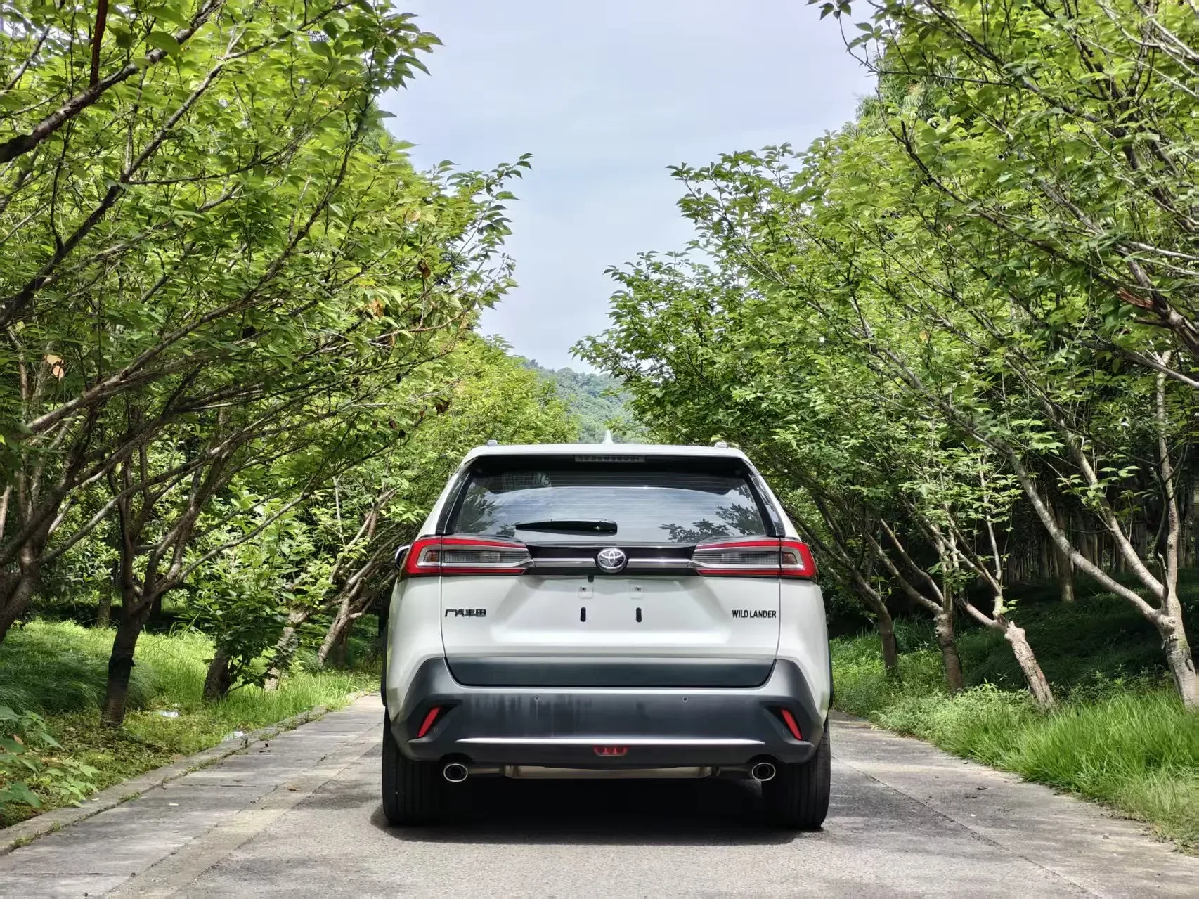 Toyota Willanda