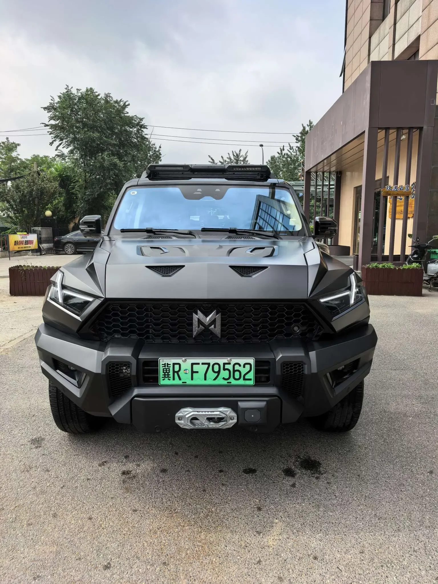 Mengshi Warrior 917  из Китая