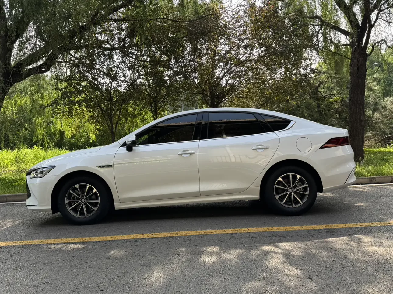 BYD Qin PLUS DM