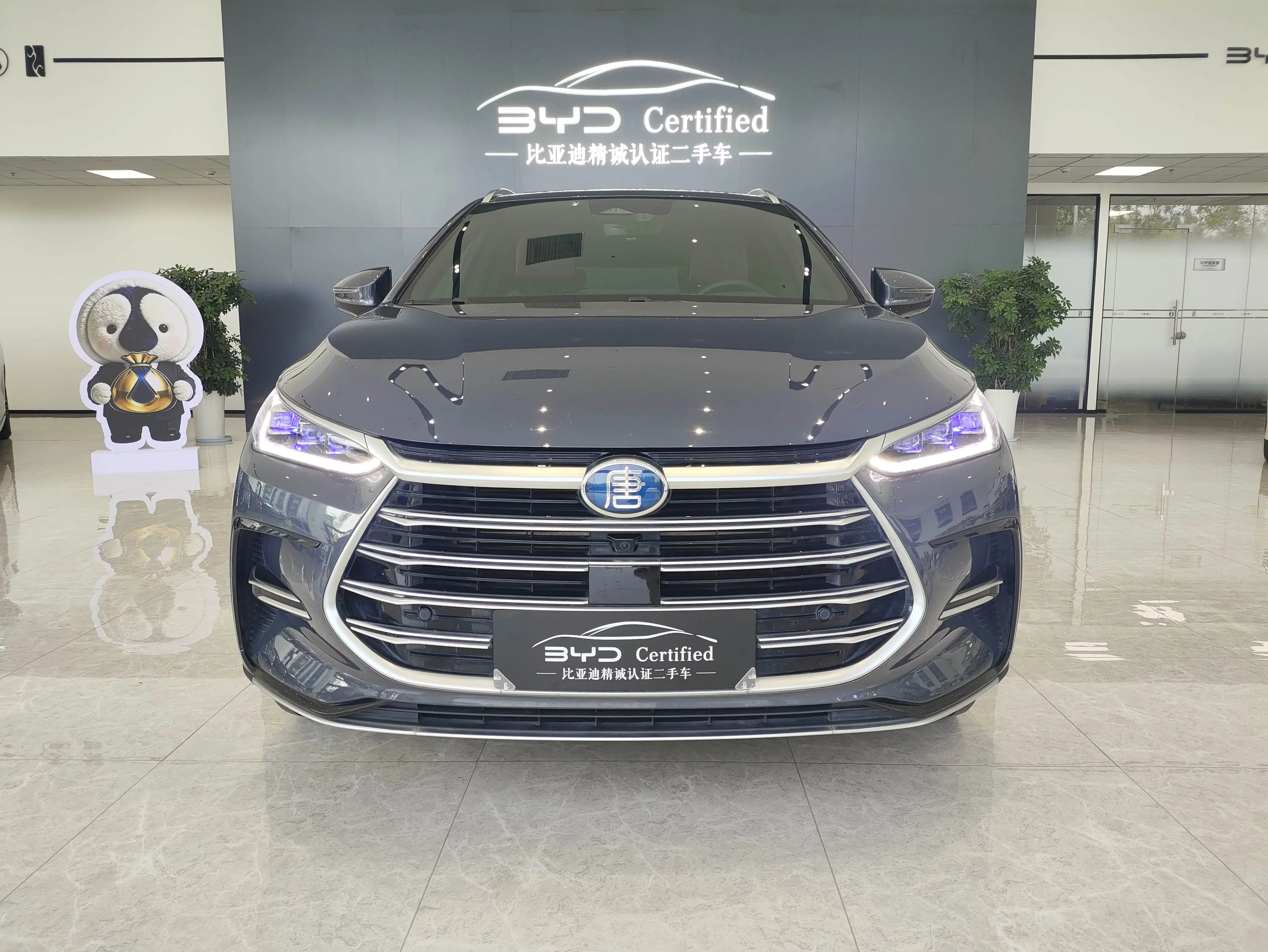 BYD Tang DM