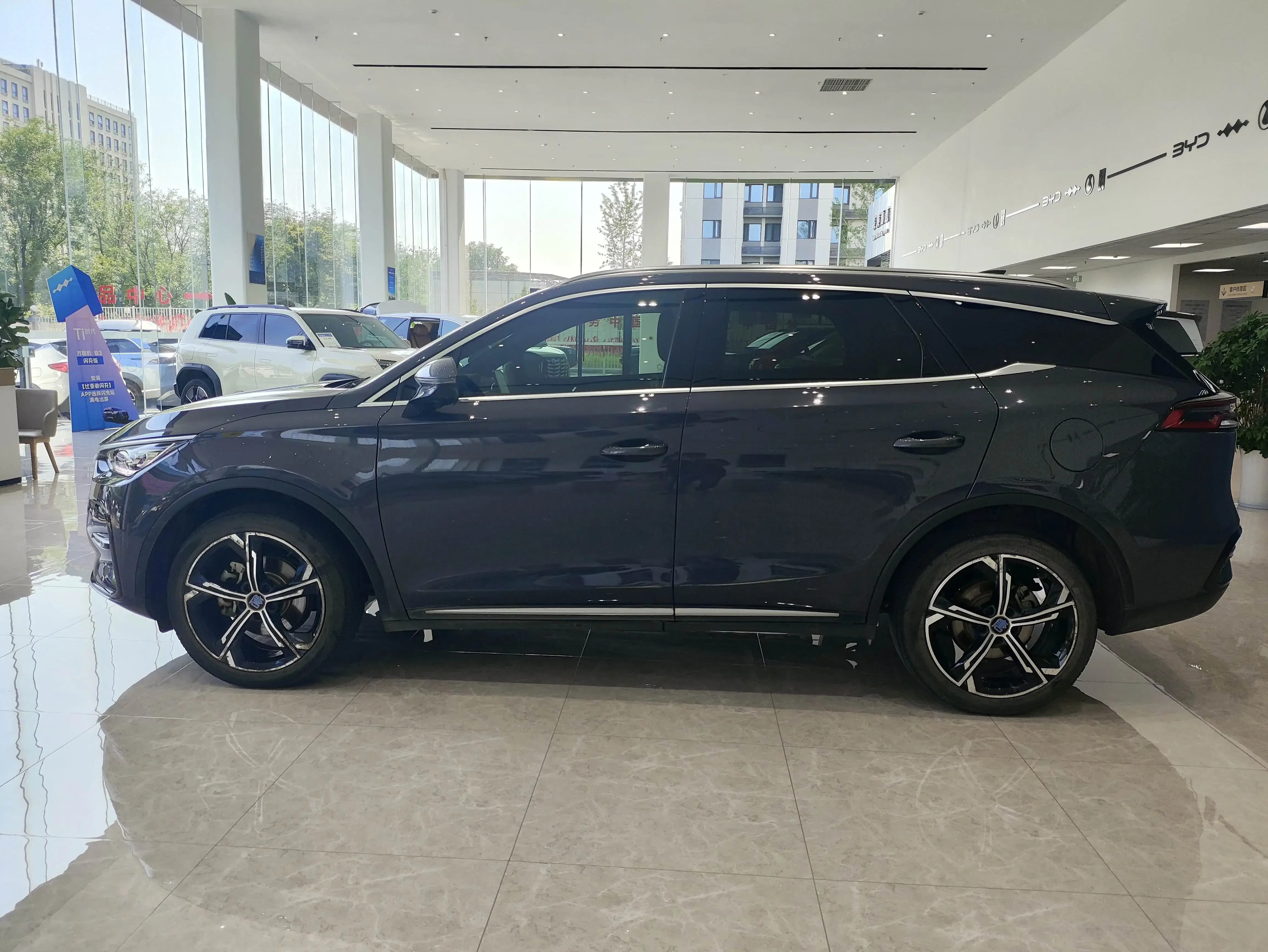 BYD Tang DM