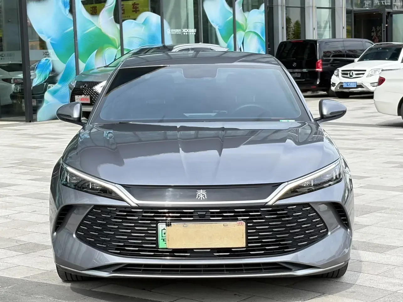 BYD Qin L DM