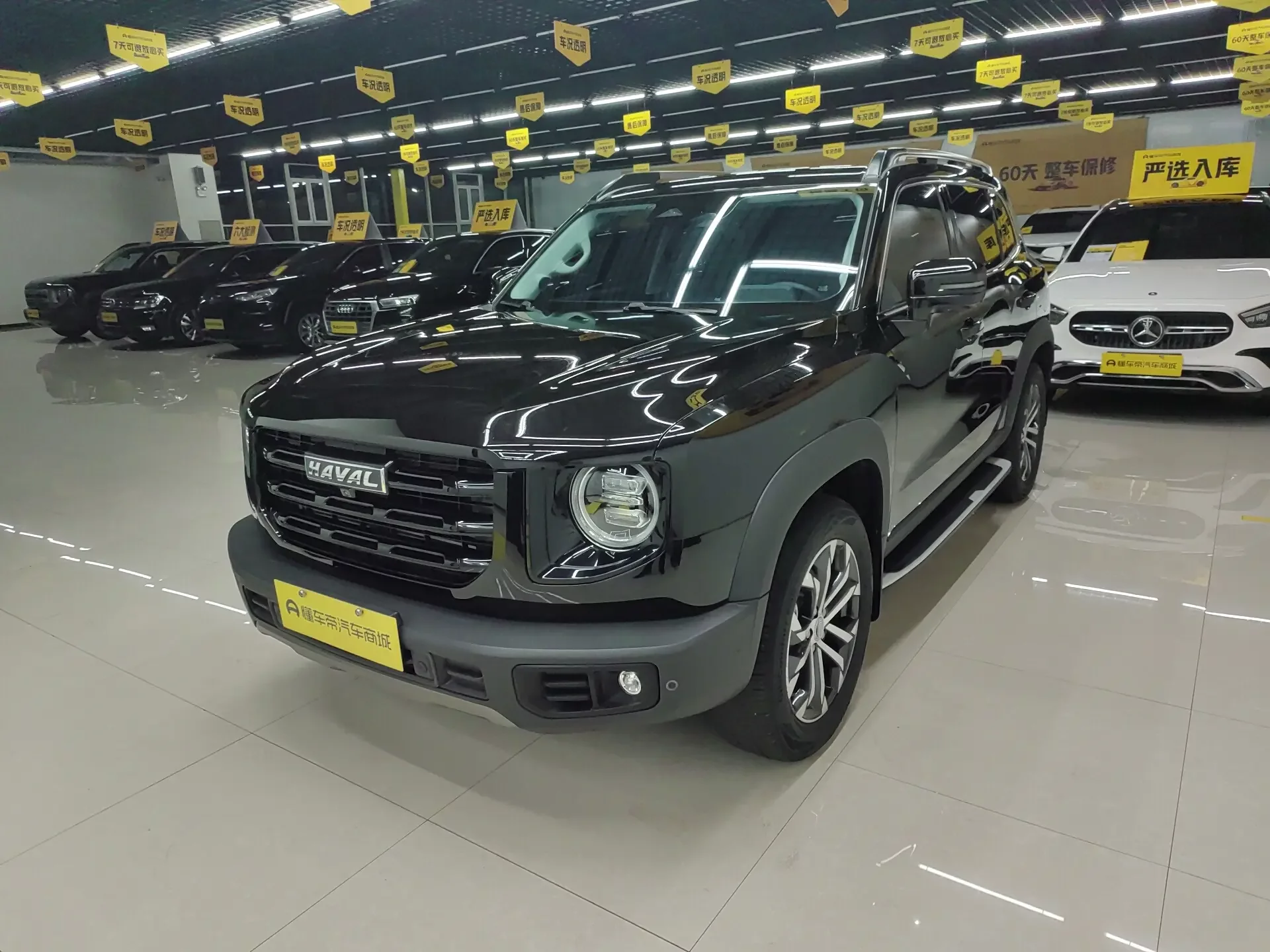 Haval Dargo