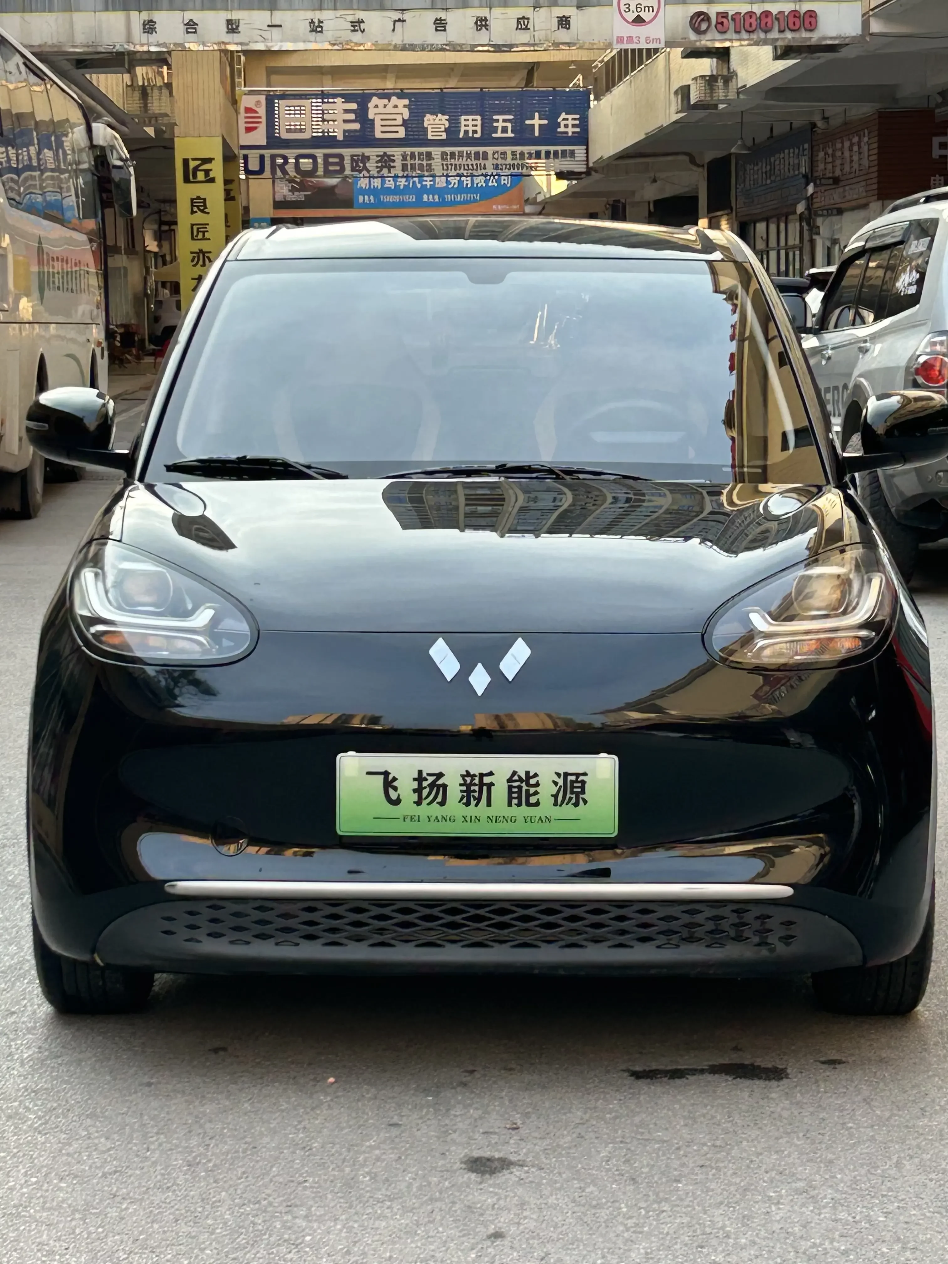 Wuling Bingo